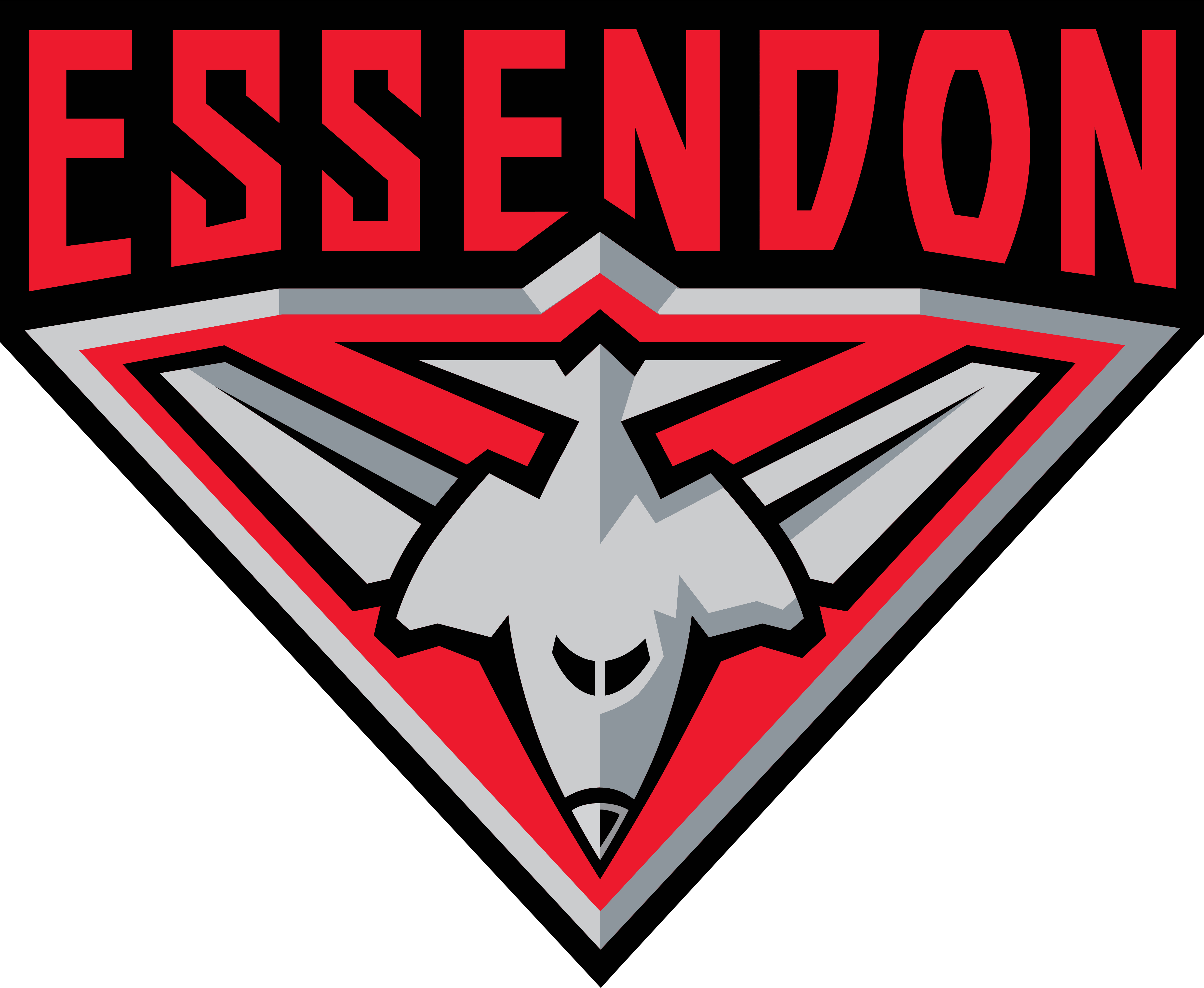 5000x4110 Essendon Bombers, Desktop