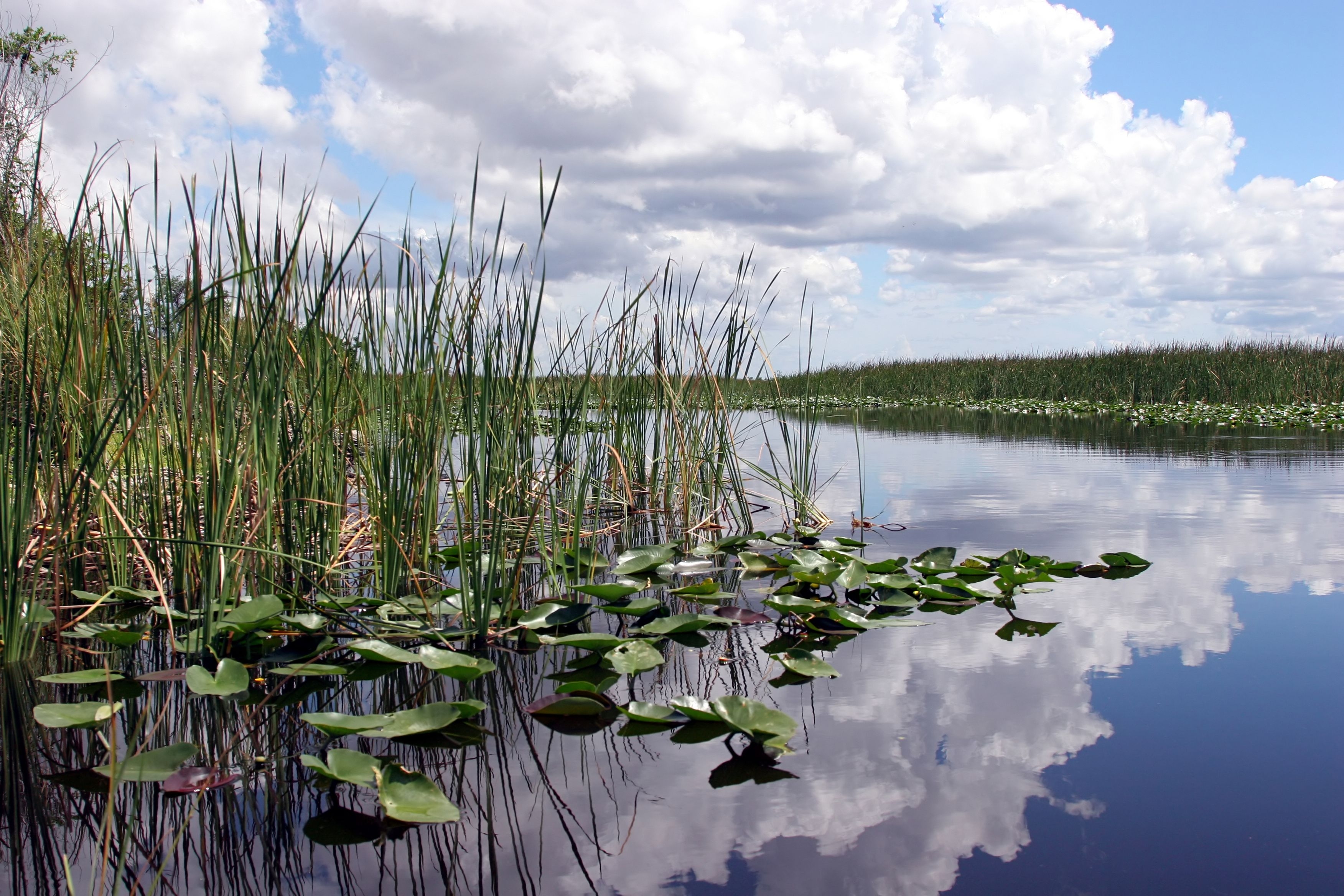 3510x2340 Everglades National Park, Desktop