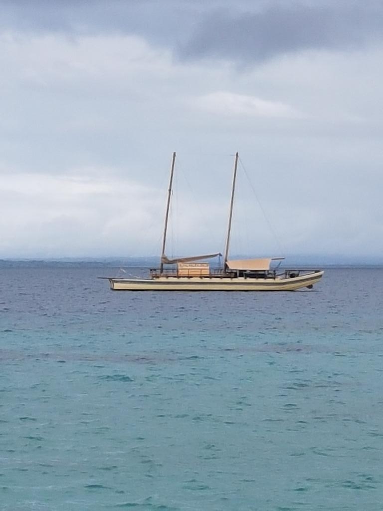 770x1030 leleuvia, Phone