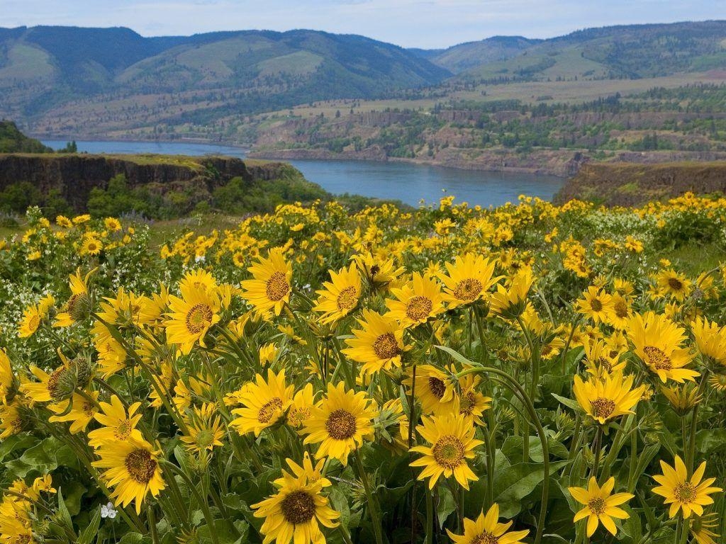 1030x770 Painted Hills Oregon Coast and Crater Lake Oregon Wallpaper, Desktop