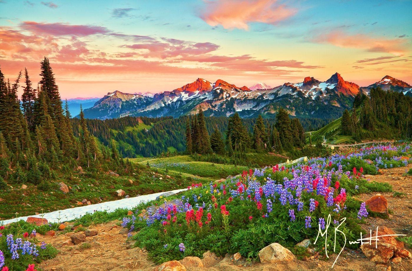 1400x930 Mountains: Mount Rainier National Park Flowers Sunset Delta River, Desktop