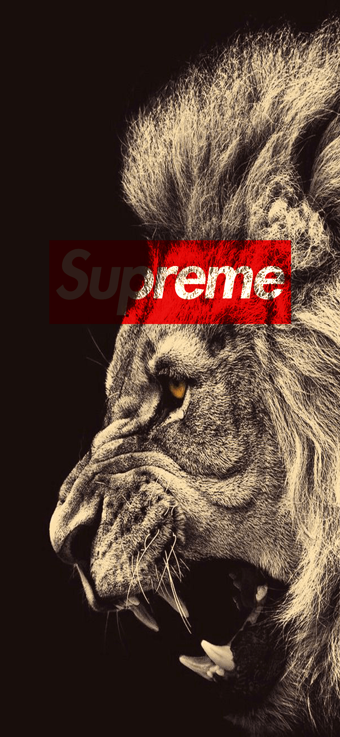 1130x2440 NYCSupreme, Phone