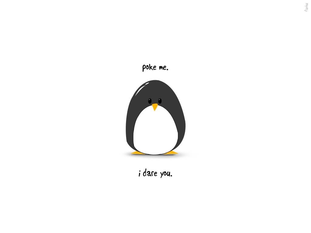 1030x770 Cute Penguin Wallpaper Free Cute Penguin Background, Desktop