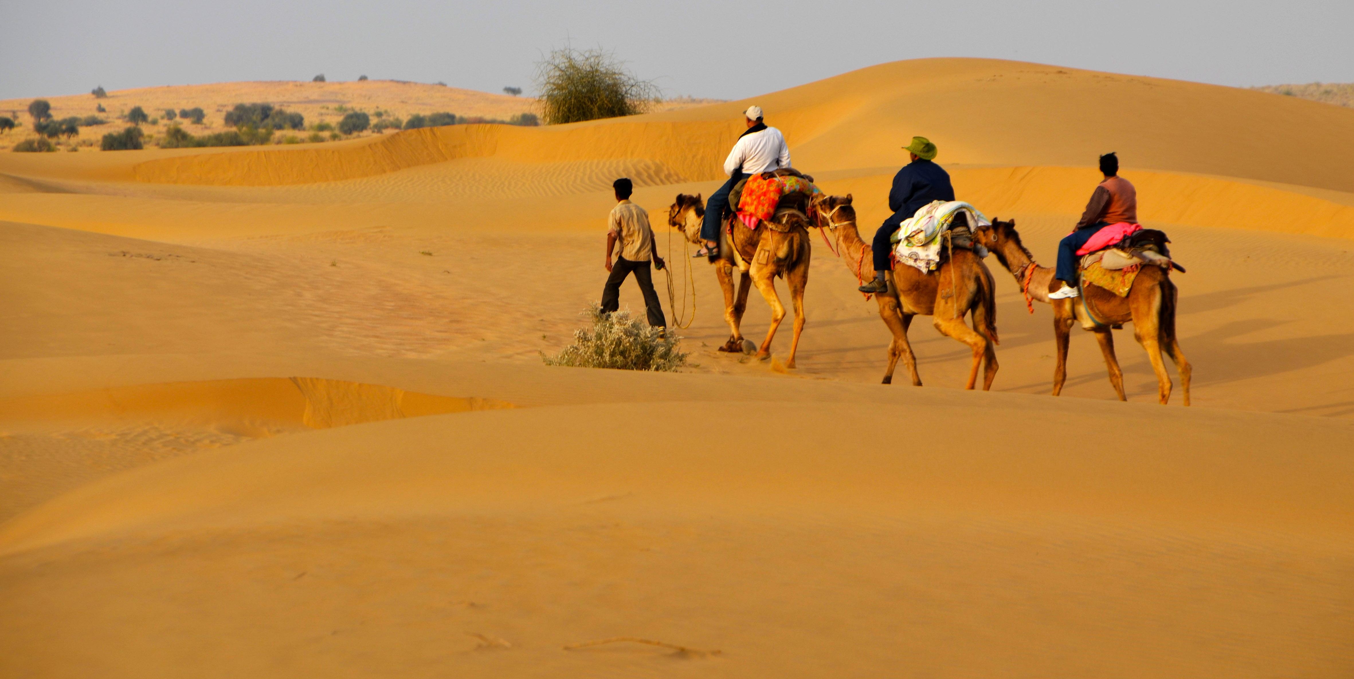 4730x2370 Suvidha Tourism Jaisalmer, Desktop