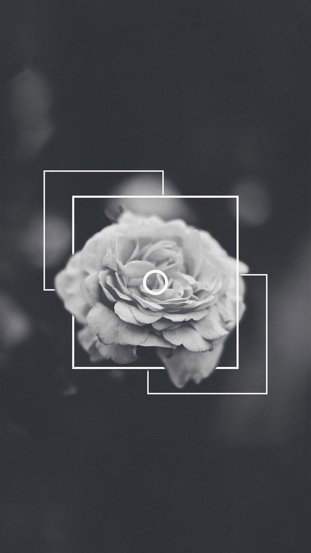 1080x1920 Black And White Rose Aesthetic, Phone