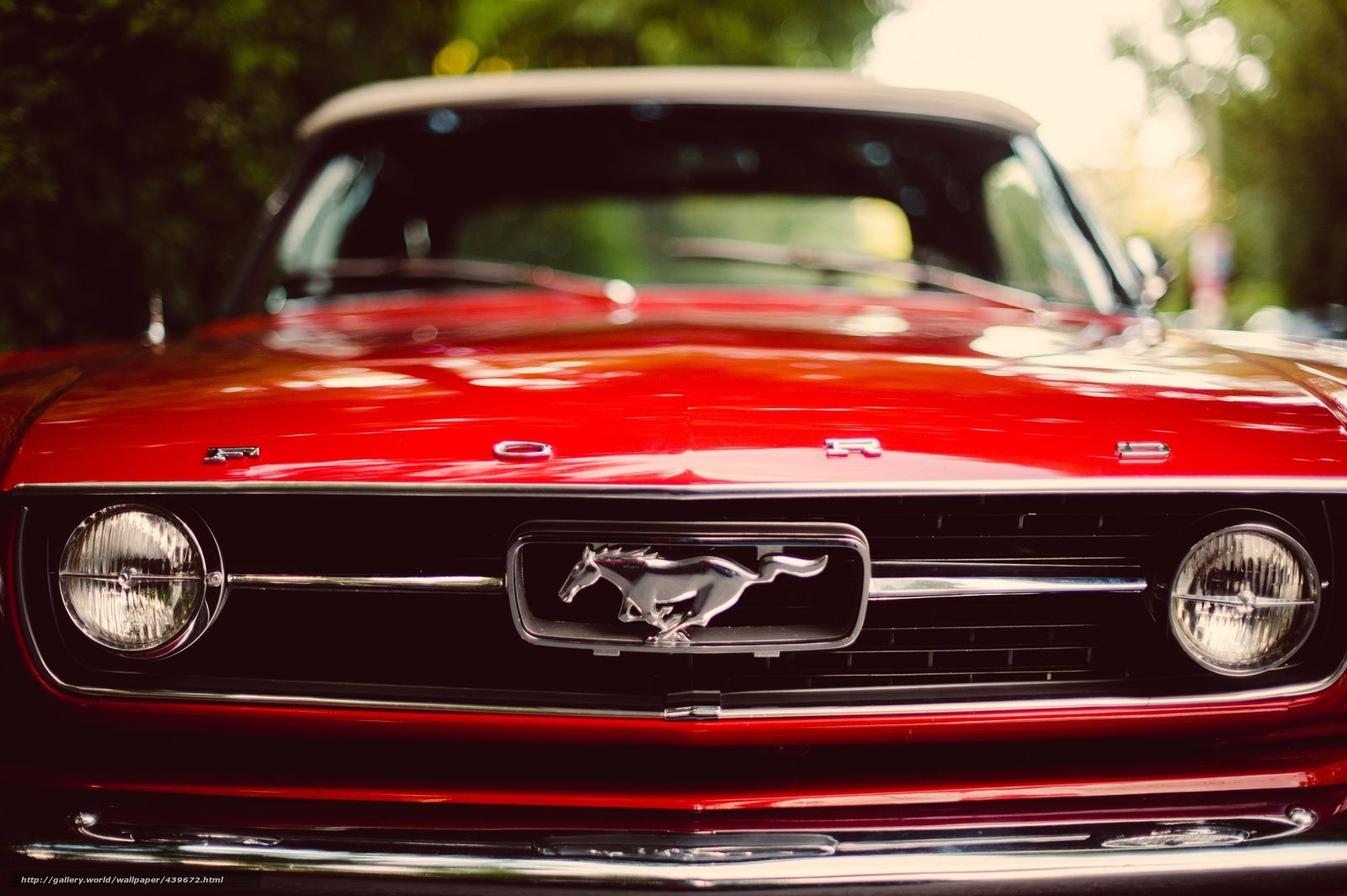 1600x1070 Classic Ford Mustang Wallpaper, Desktop