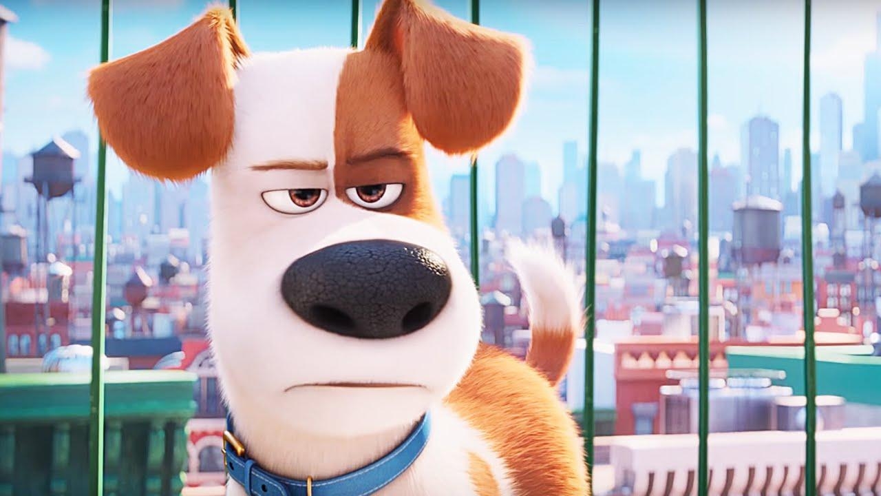 1280x720 The Secret Life of Pets Snowball Wallpaper in jpg format for free, Desktop