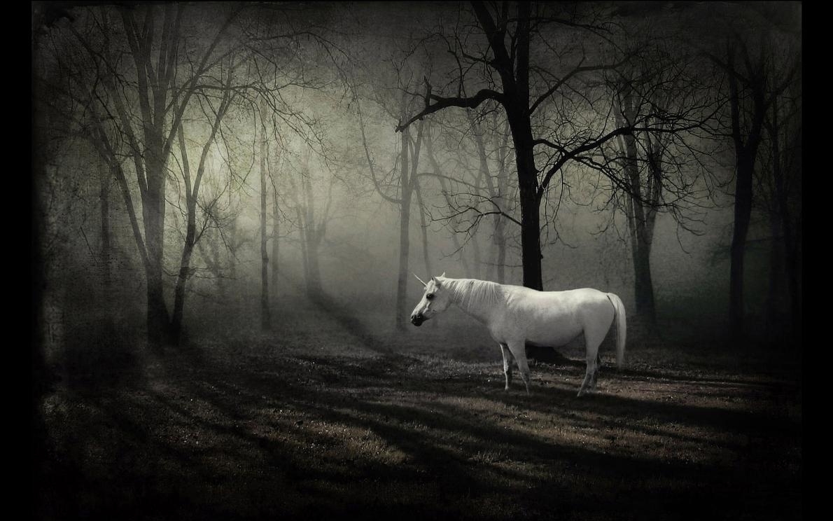 1190x750 Wallpaper For > Dark Forest Wallpaper HD, Desktop