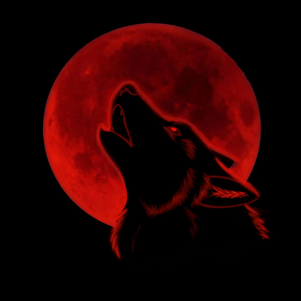 1000x1000 Red Wolf Wallpaper, Phone