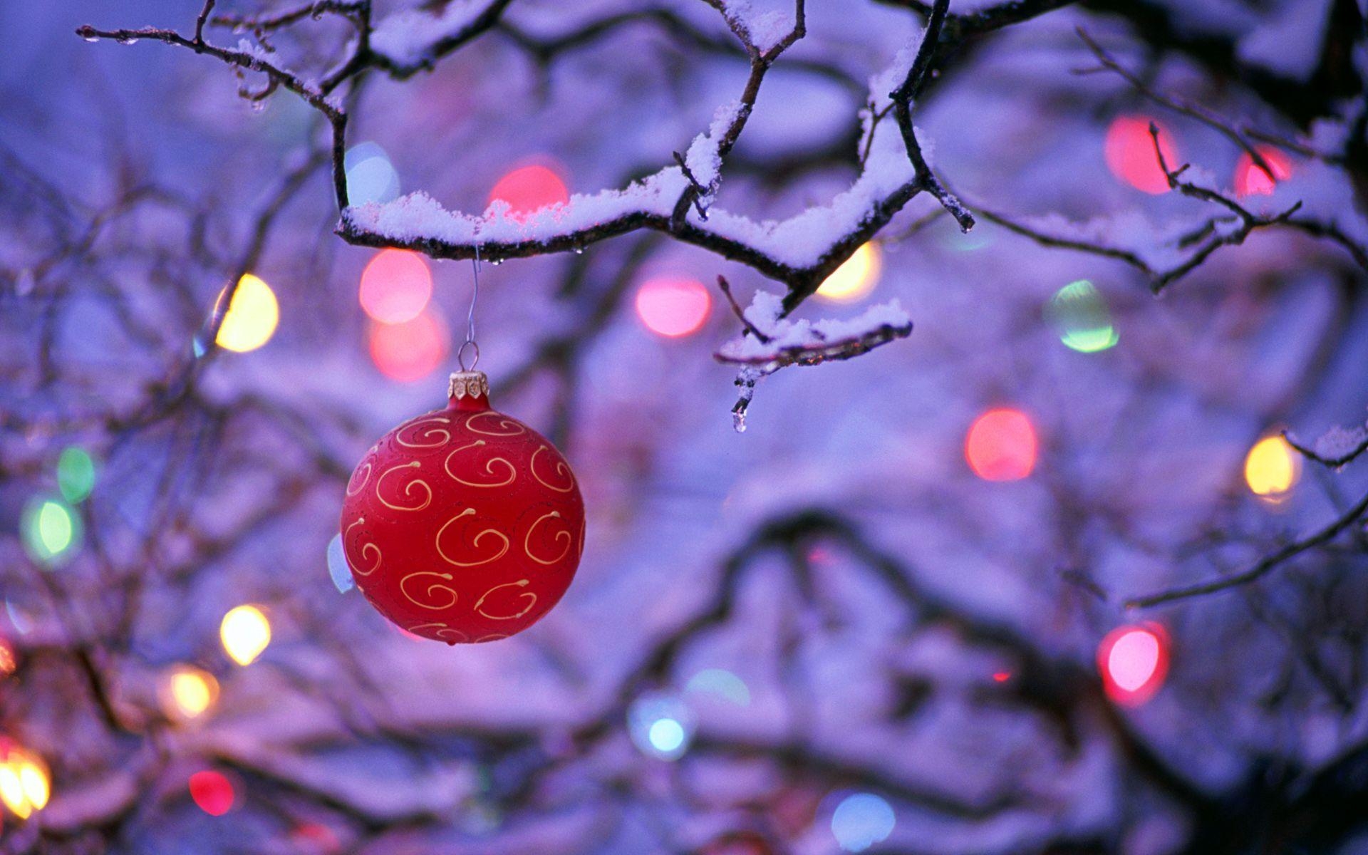 1920x1200 Winter Christmas Wallpaper Picture. Christmas desktop, Desktop