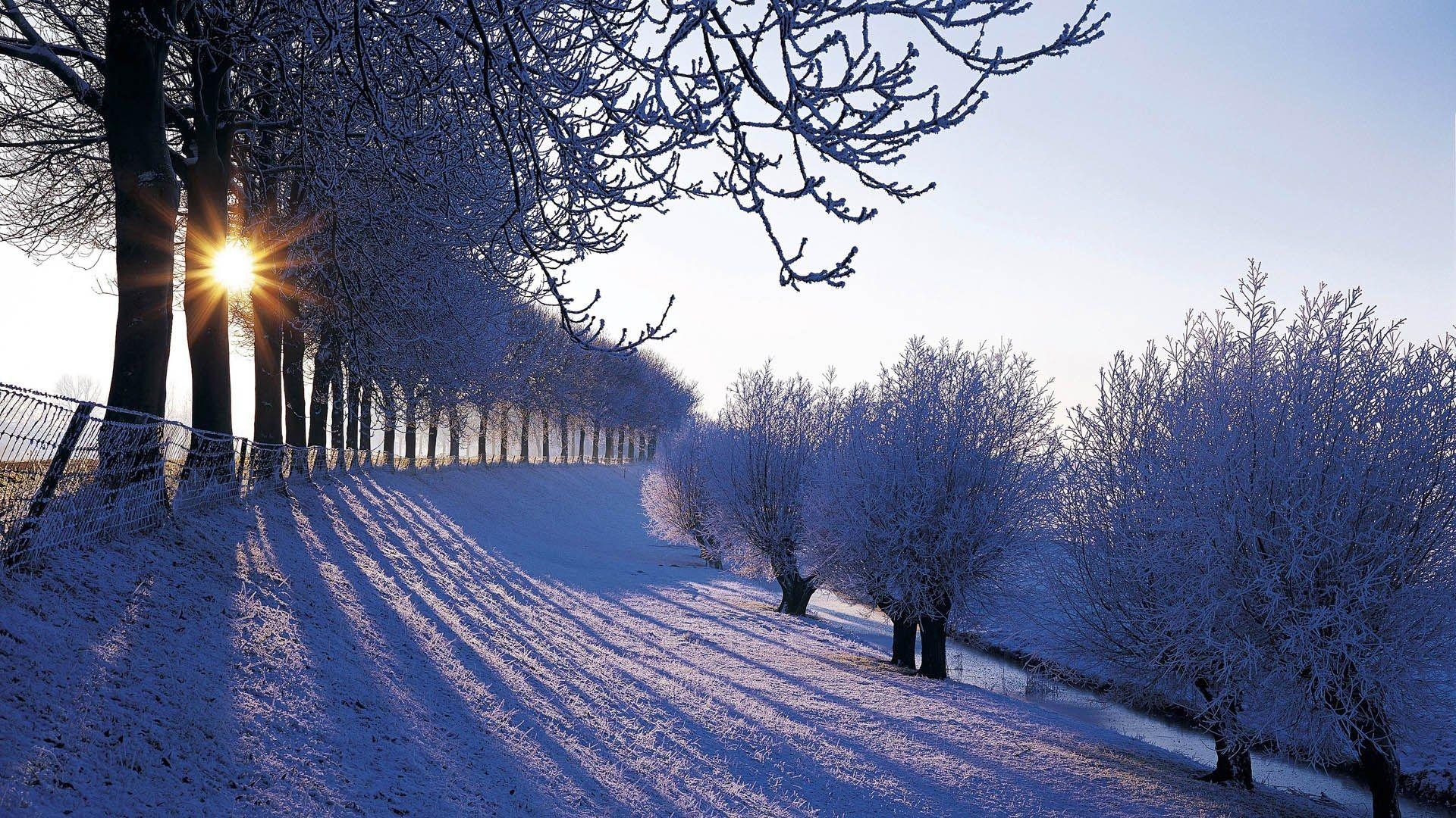 1920x1080 Wallpaper Netherlands Winter Nature Nederland Europe Window, Desktop