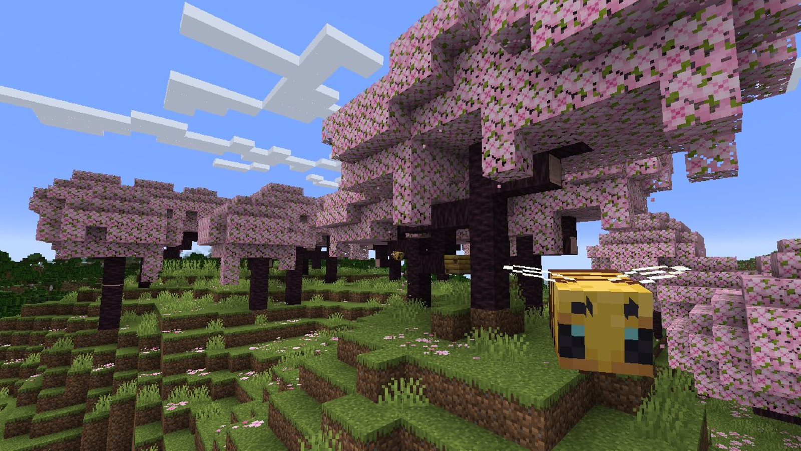 1600x900 cherry blossom biome, Desktop