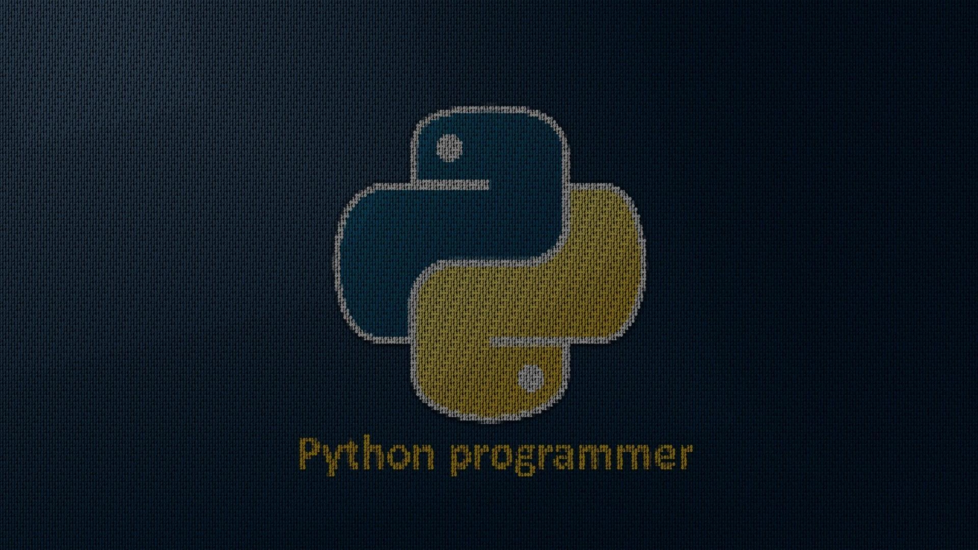 1920x1080 Python programmer wallpaper, Desktop