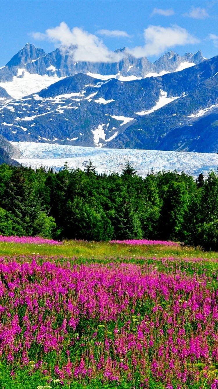 750x1340 USA, Alaska, mountains, snow, flowers, Phone