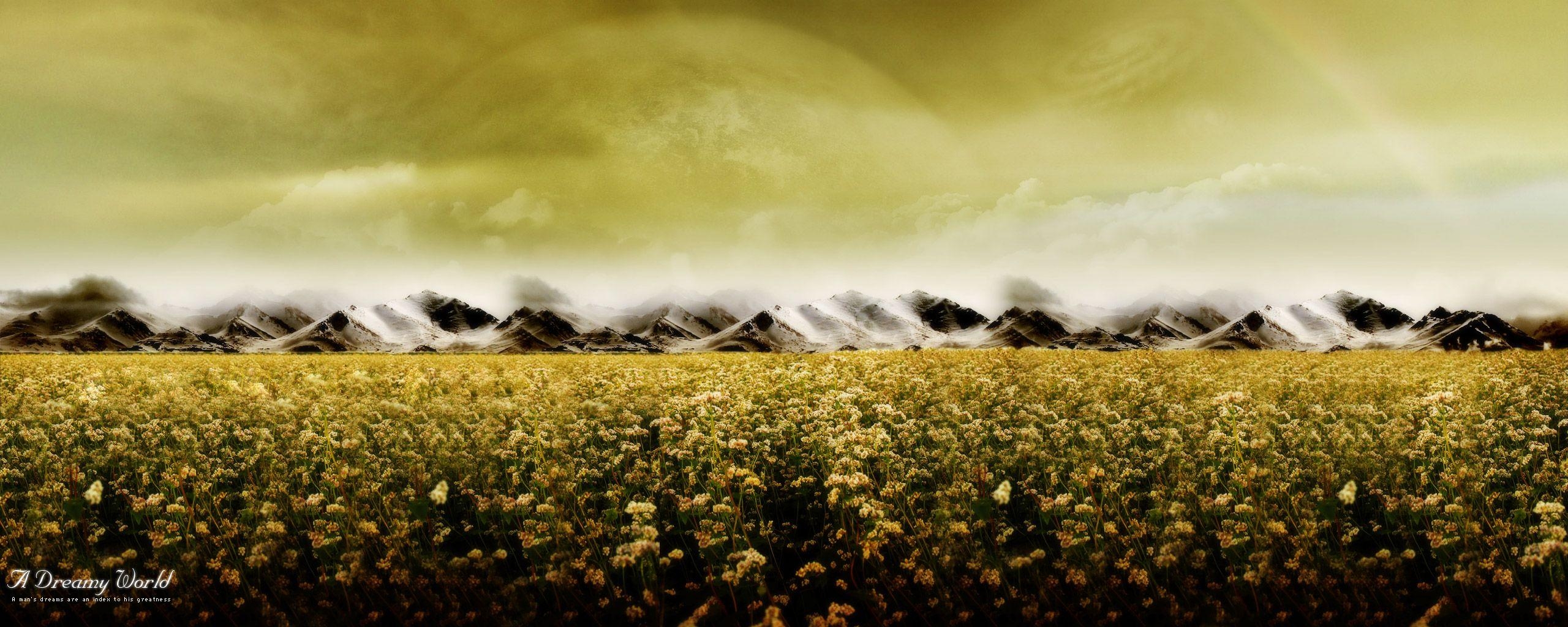 2560x1030 Download the Field Into The Unknown Wallpaper, Field Into, Dual Screen