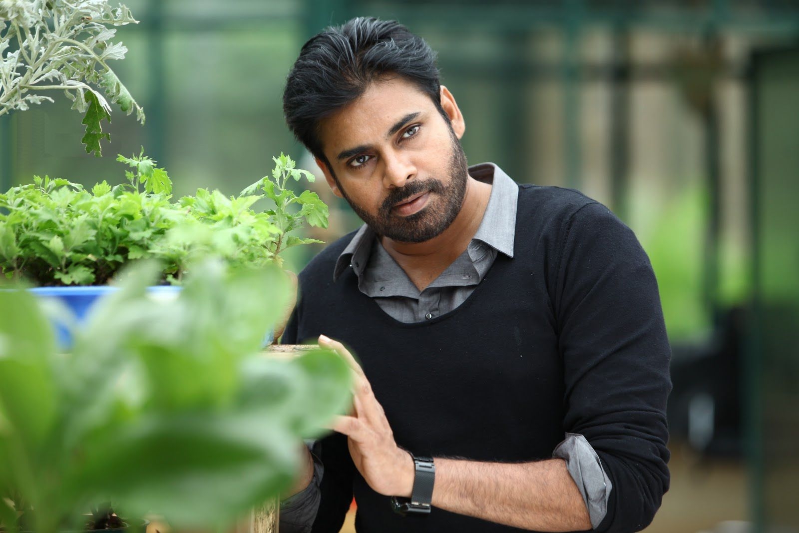 1600x1070 Pawan Kalyan HD wallpaper Telugu actor Pawan Kalyan Full size image, Desktop