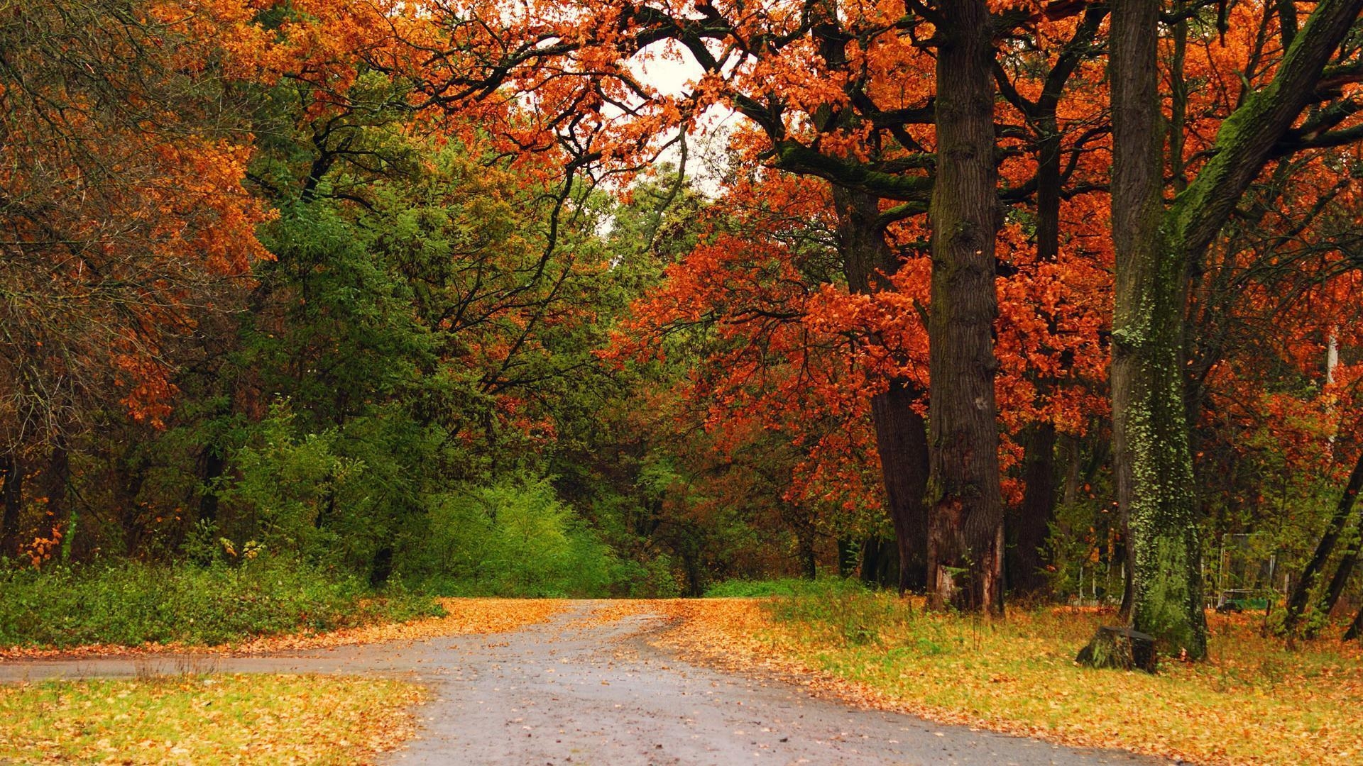 1920x1080 North Carolina Background Wallpaper, Desktop