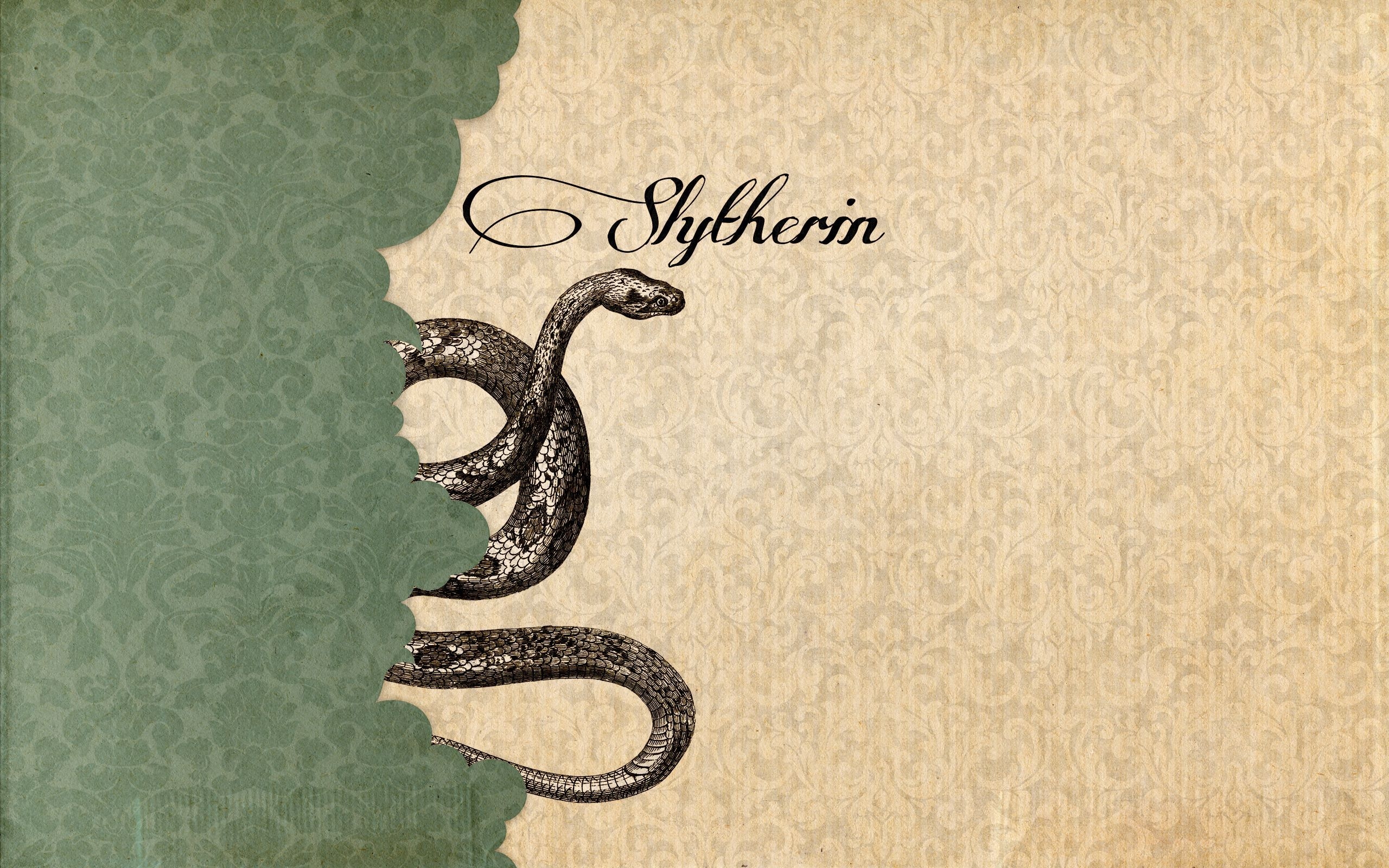 2560x1600 House Slytherin Potter World. Desktop wallpaper harry potter, Harry potter wallpaper background, Harry potter wallpaper, Desktop