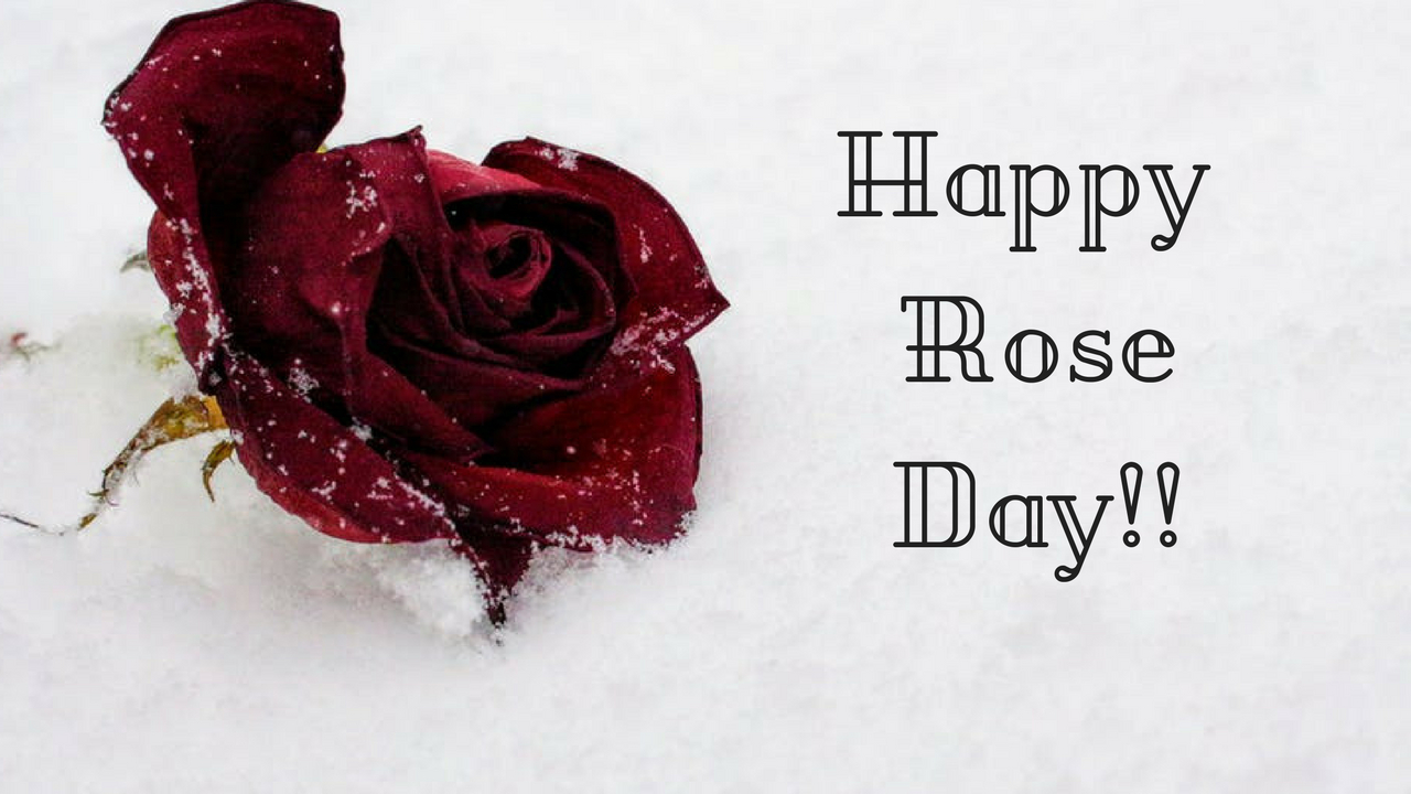 1280x720 Happy Rose Day Pic HD, Desktop