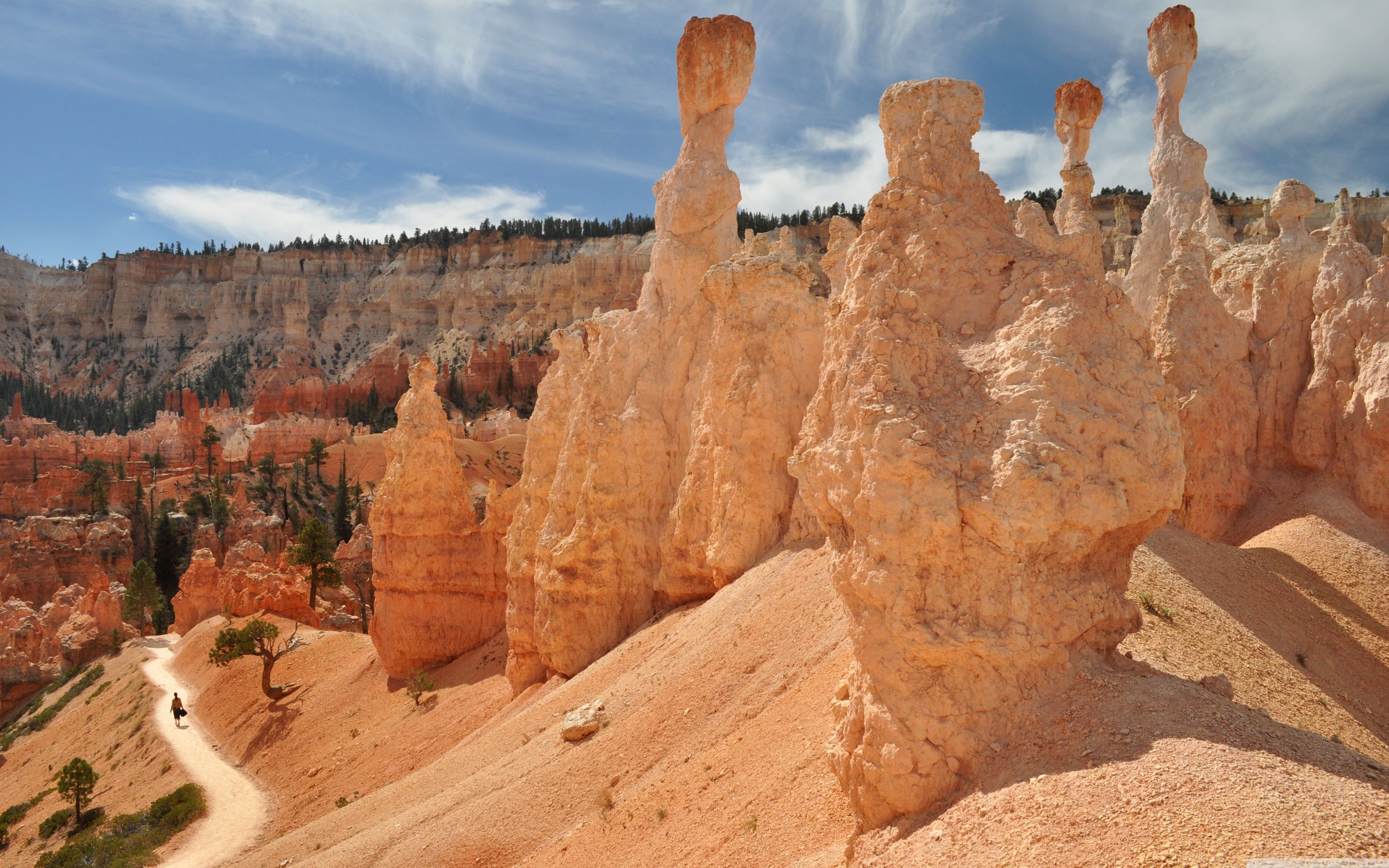 3840x2400 Hoodoos In Bryce Canyon National Park, Utah ❤ 4K HD Desktop, Desktop