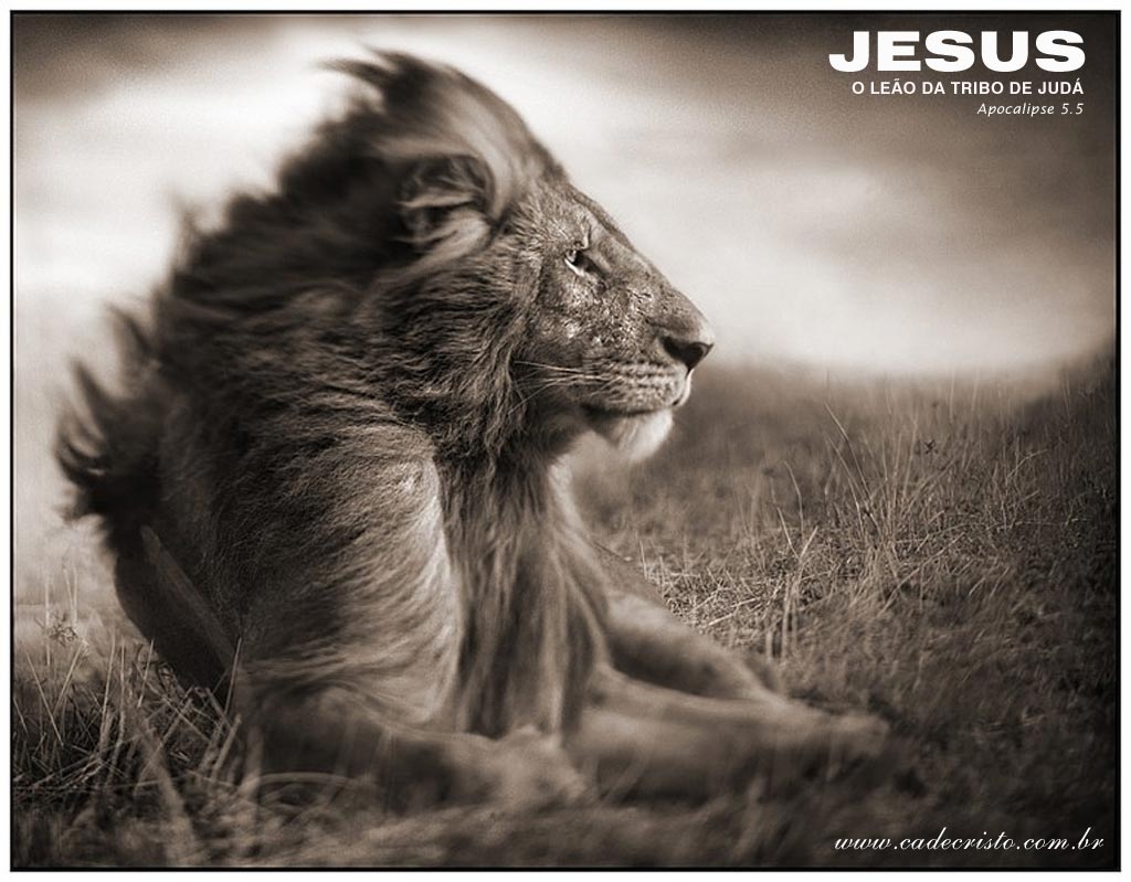 1030x800 Jesus, Lion Christian Wallpaper Free Download, Desktop