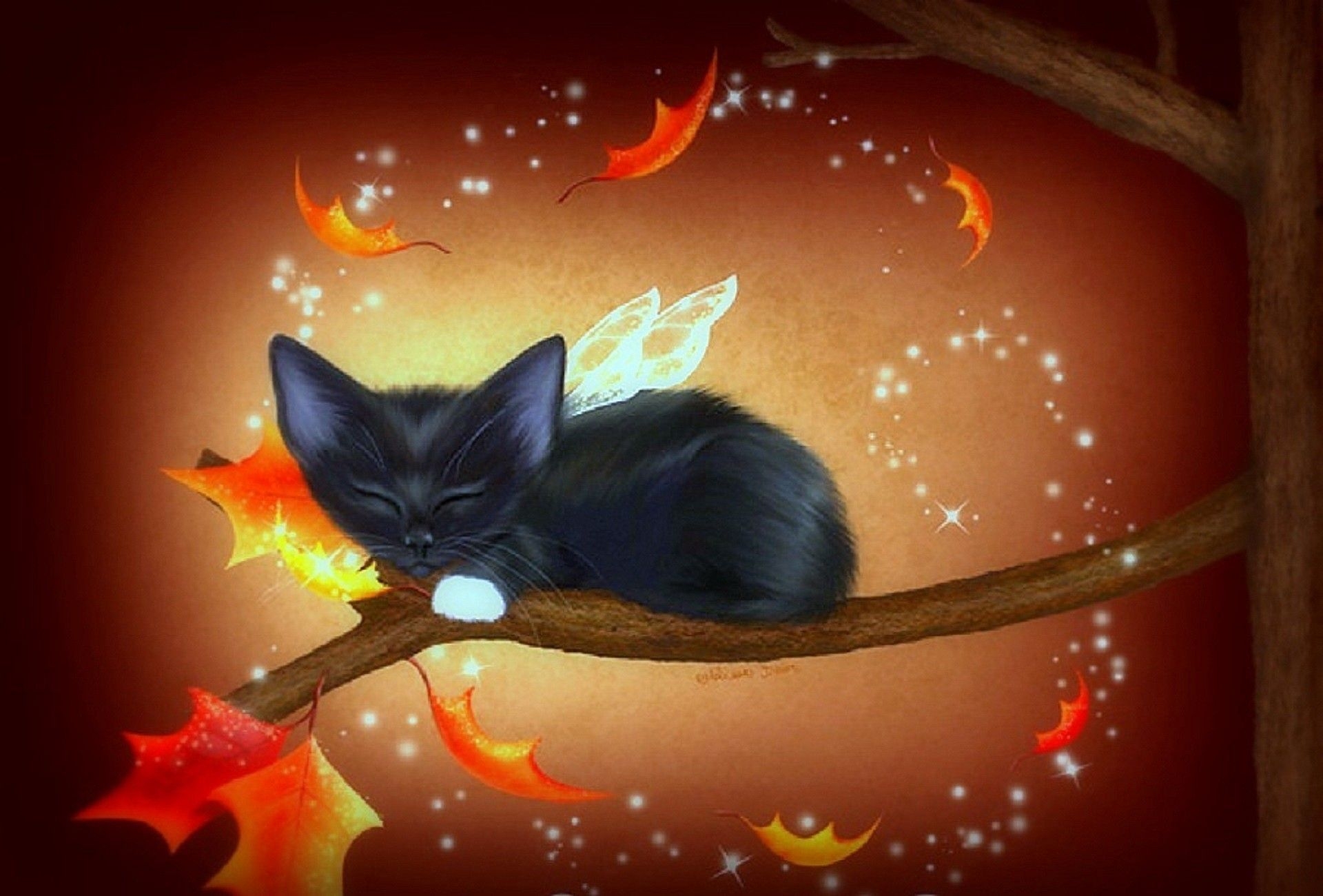 1920x1300 Fall Cats Wallpaper, Desktop