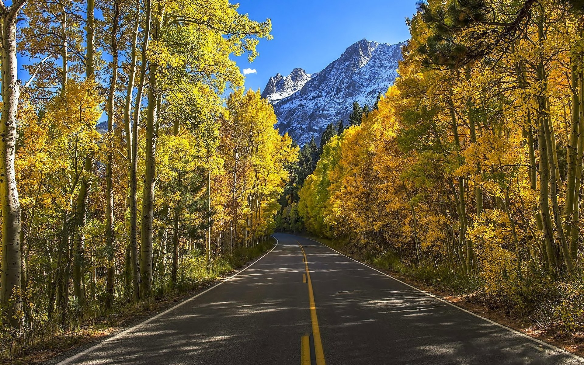 1920x1200 Autumn Trees Road Mountains wallpaper. Autumn Trees Road Mountains, Desktop