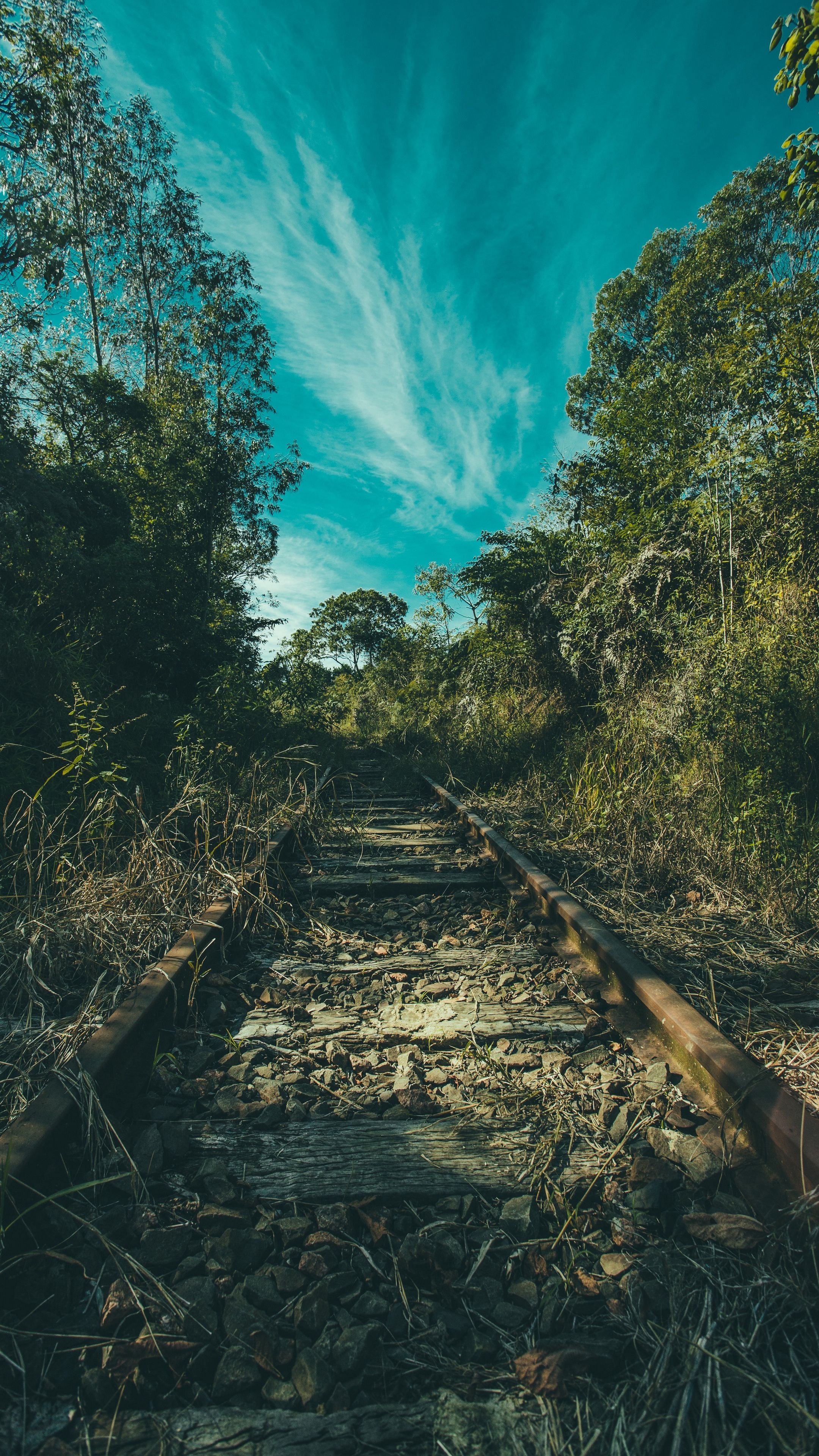 2160x3840 Nature #railway #trees #grass #wallpaper HD 4k background, Phone