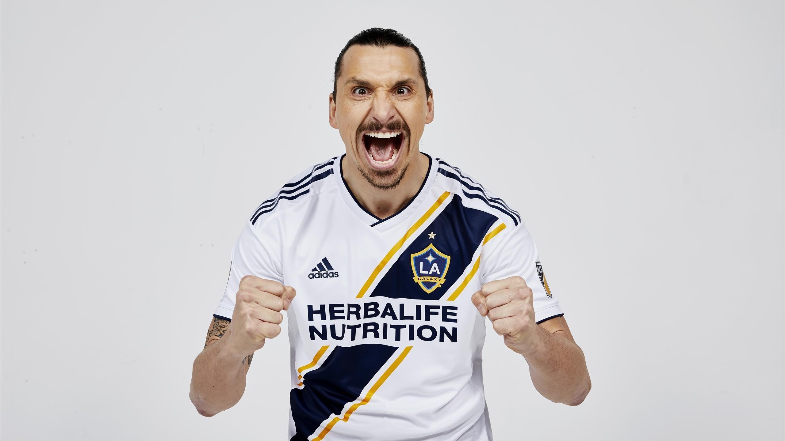 2560x1440 Zlatan Ibrahimovic Profile, Desktop