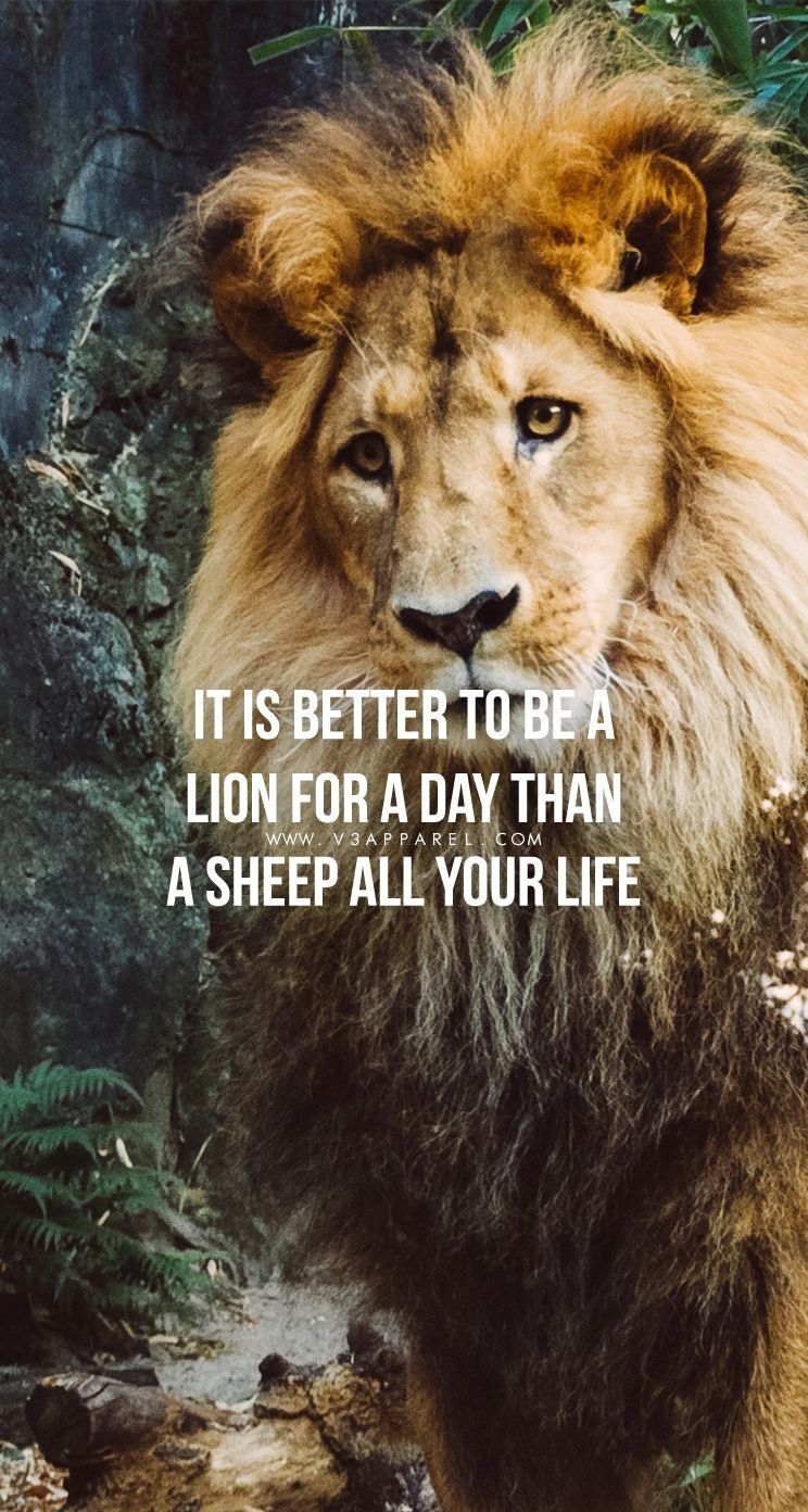 750x1400 Lion Wallpaper Motivation, Phone