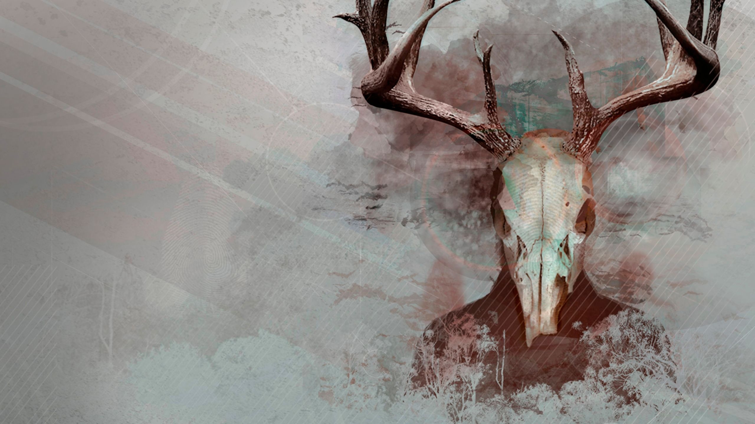 2560x1440 Red Deer Skull Wallpaper, Desktop