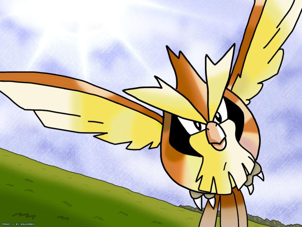 1030x770 Pidgey, Desktop