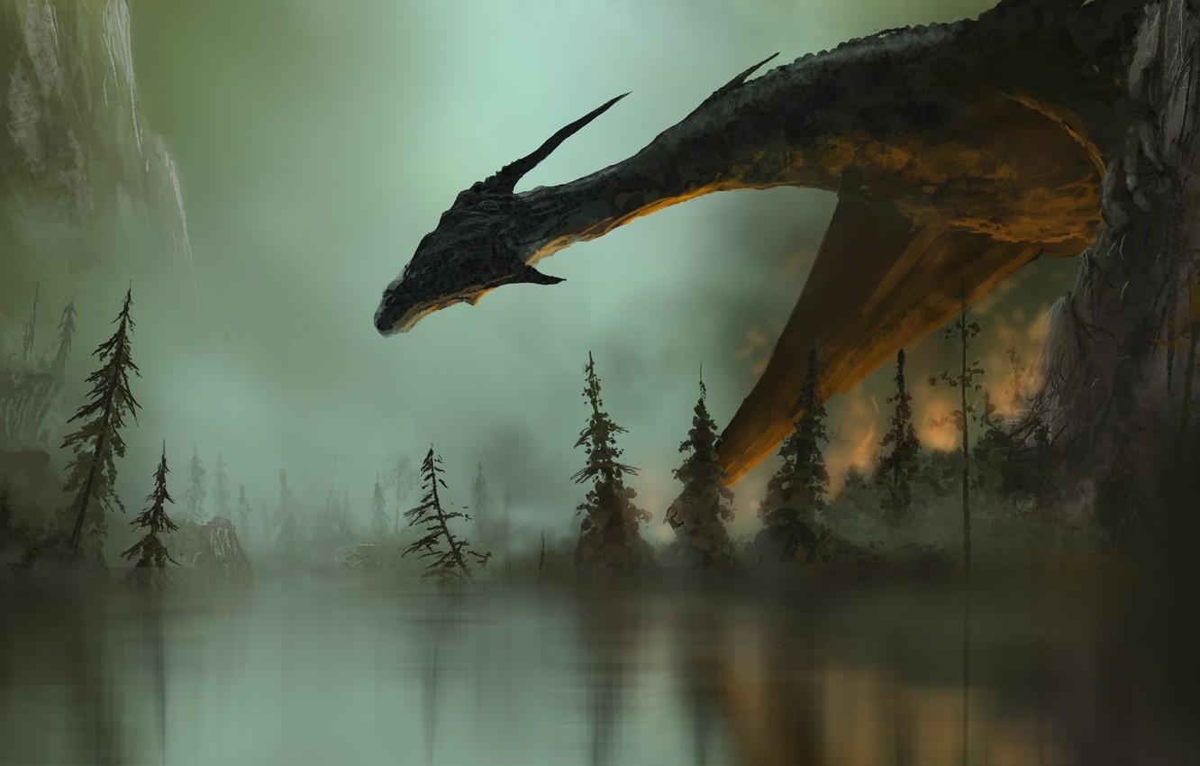 1340x850 Wallpaper fiction, fire, fire, dragon, smoke, wings, art, Desktop