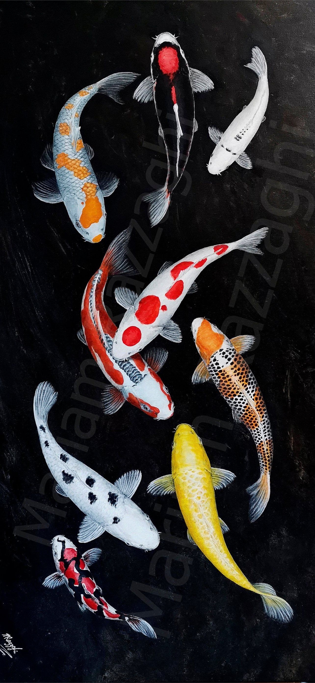 1290x2780 goldfish iPhone Wallpaper. Koi fish, Phone