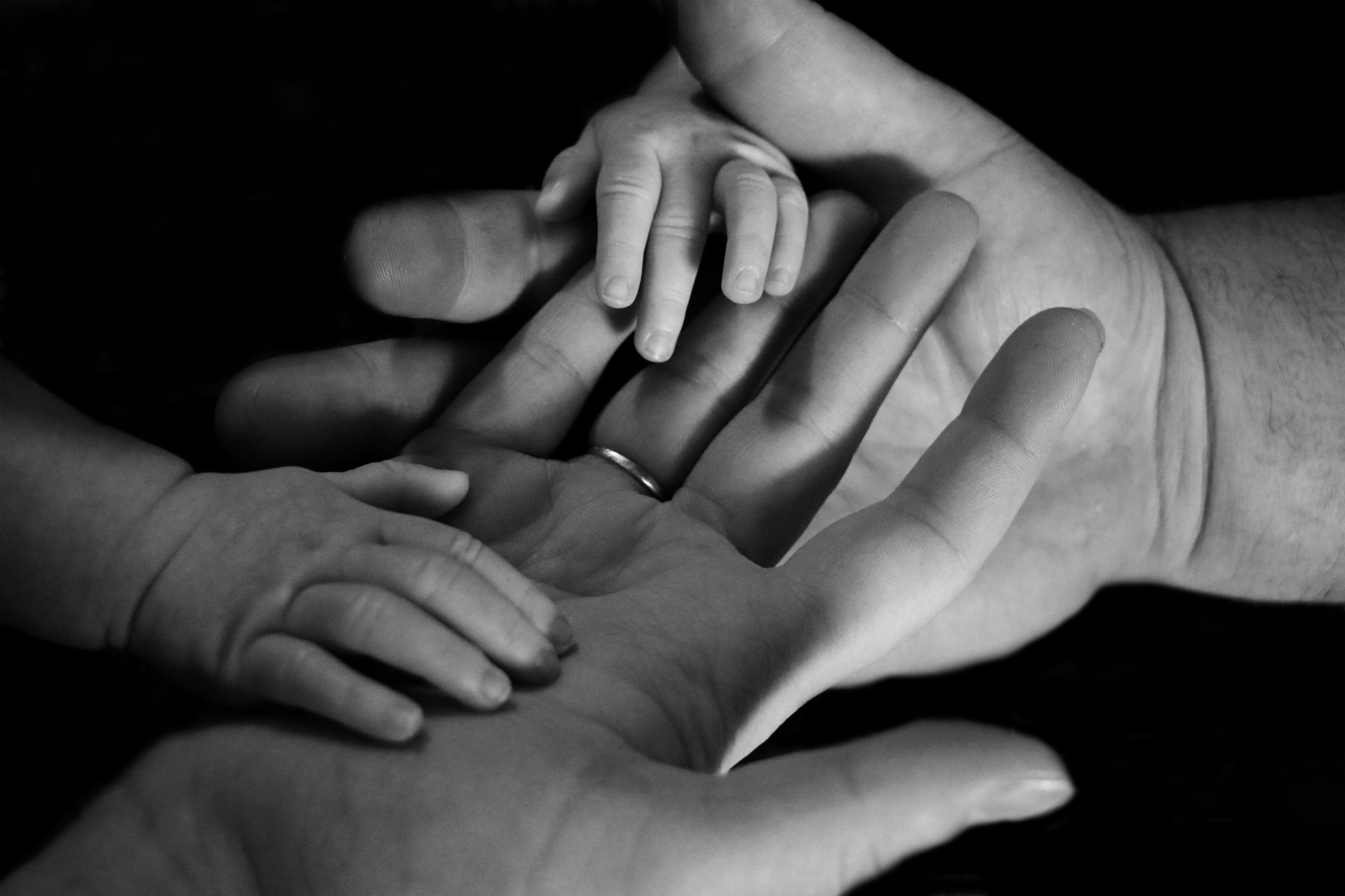 4970x3310  #father, #baby, #family, #black and white, #bond, #mum, #love, #monochrome, #together, #mom, #holding on, #large, #small, #hand, #Free image, #dad, #mother. Mocah HD Wallpaper, Desktop