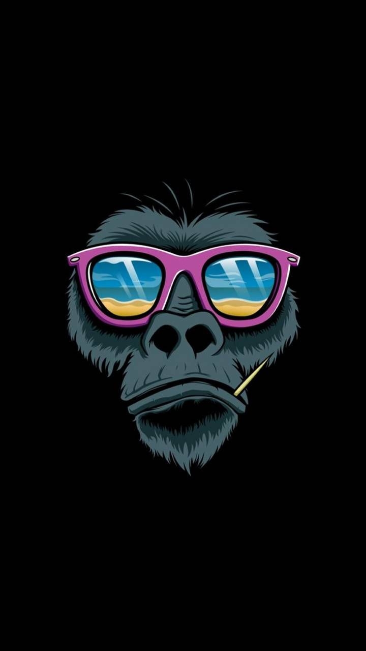 720x1280 Monkey Wallpaper, HD Monkey Background on WallpaperBat, Phone