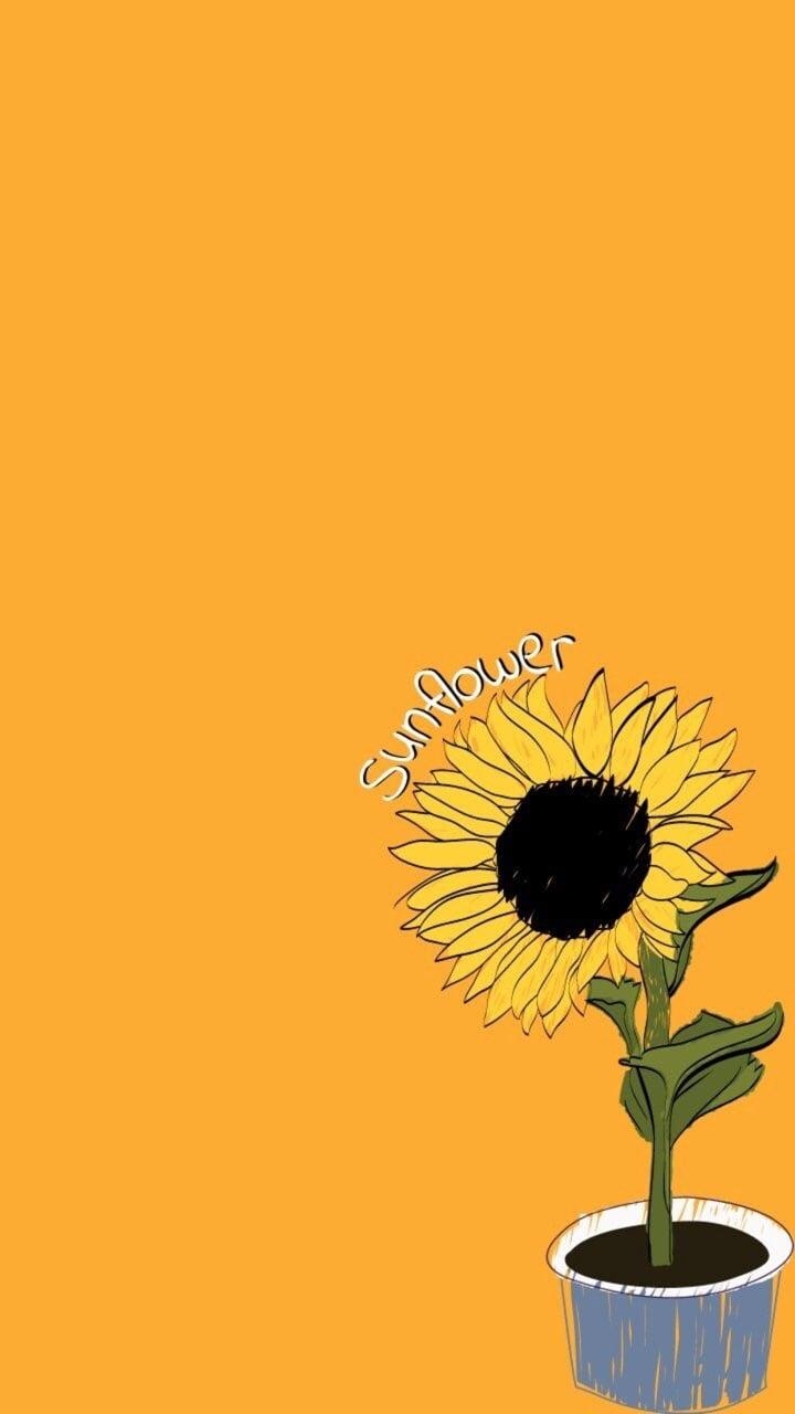 720x1280 Aesthetic Yellow Sunflower Background, Phone