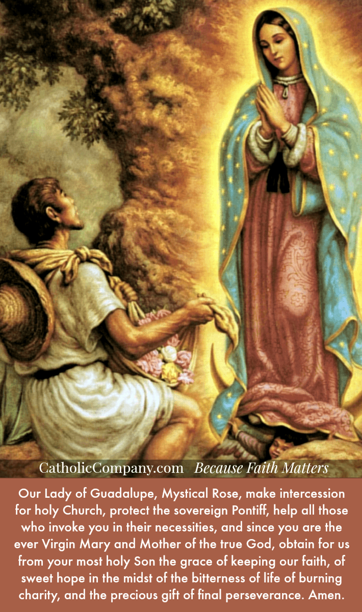 710x1200 Our Lady of Guadalupe Feast Day: Facts & Celebration Ideas, Phone