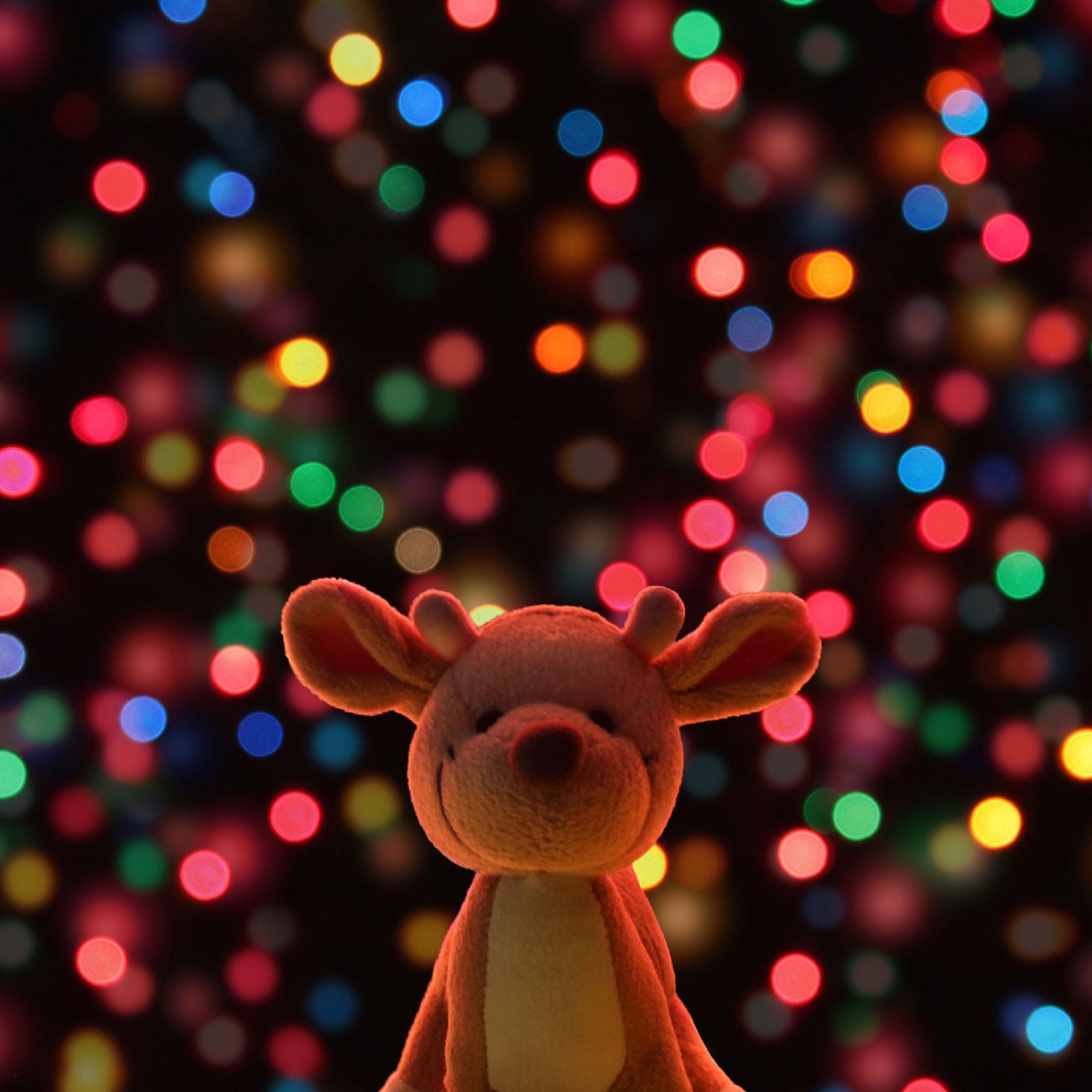 2050x2050 Free Wallpaper: Christmastime is Here!, Phone