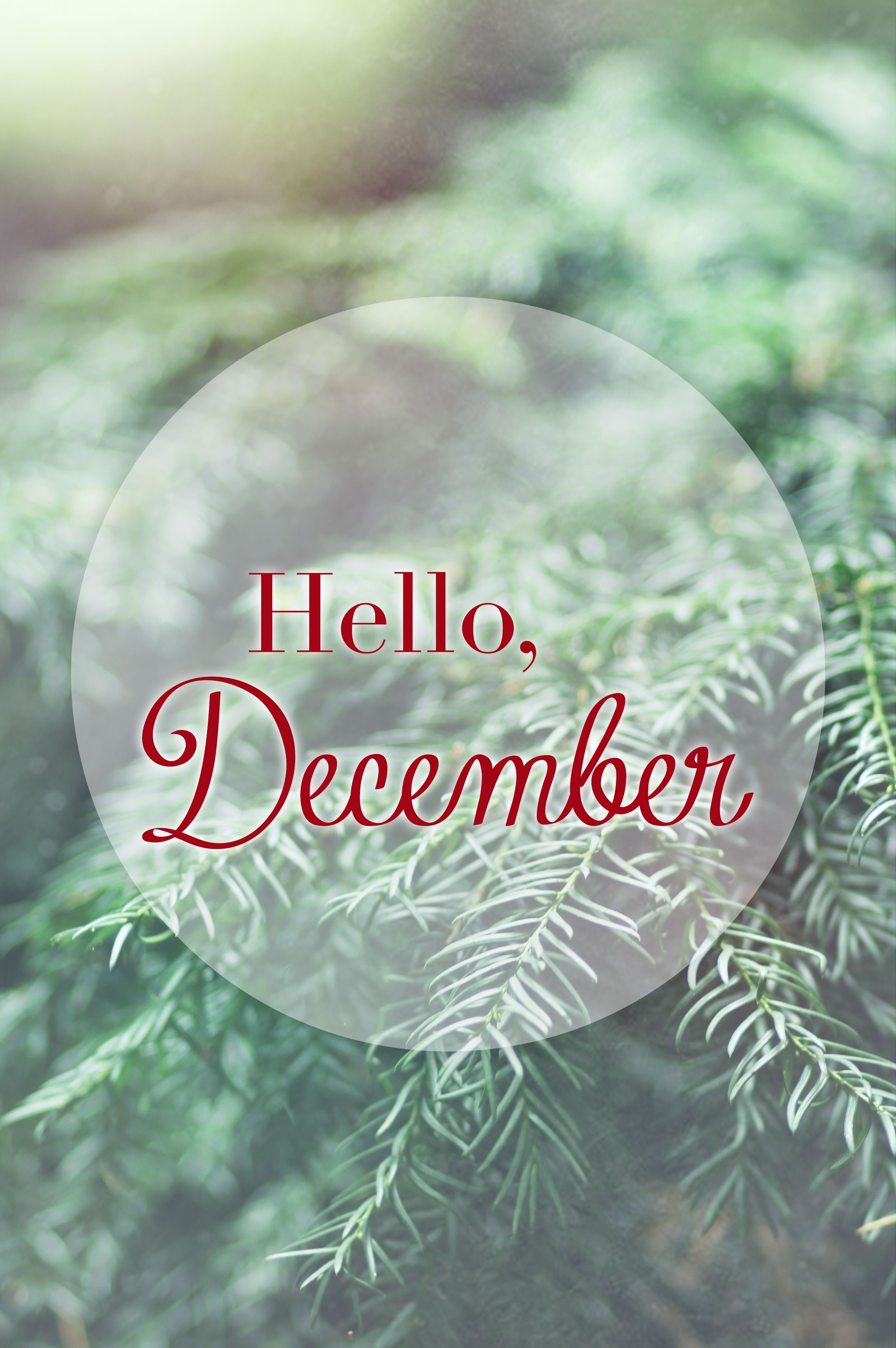 3170x4760 ❋ Hello December. Hello december image, Hello december, Hello december quotes, Phone