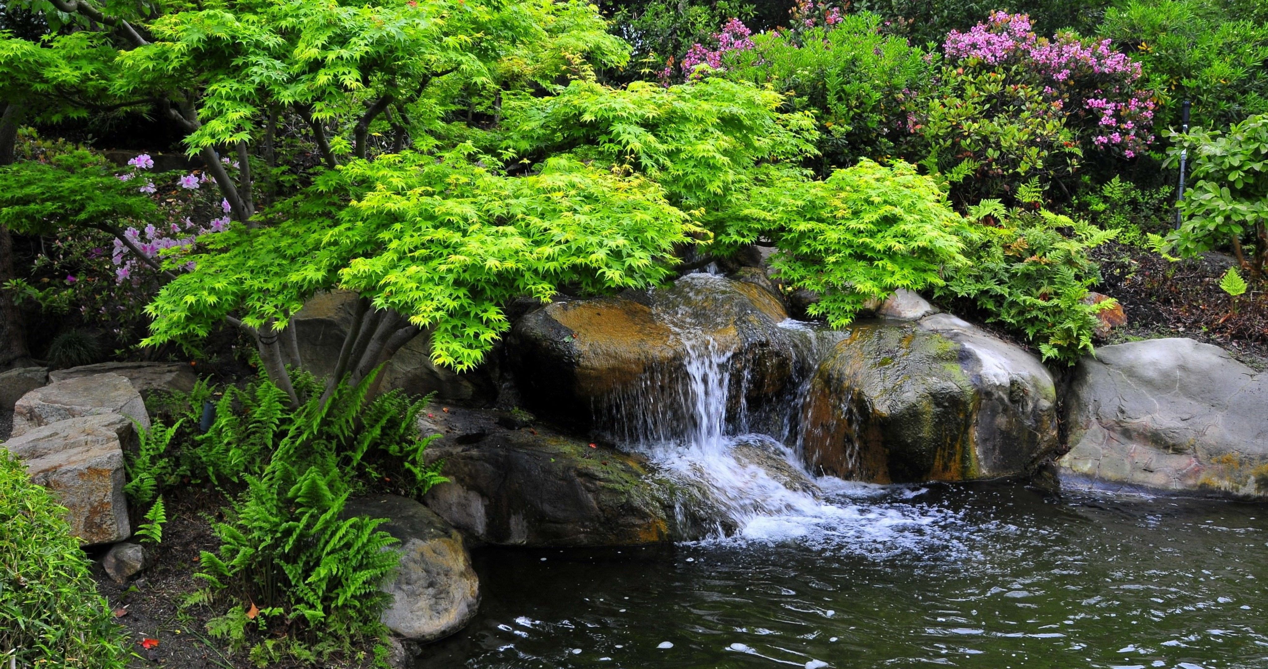 4100x2160 california miller japanese garden 4k ultra HD wallpaper. Pool water features, Pool waterfall landscaping, Water garden, Desktop