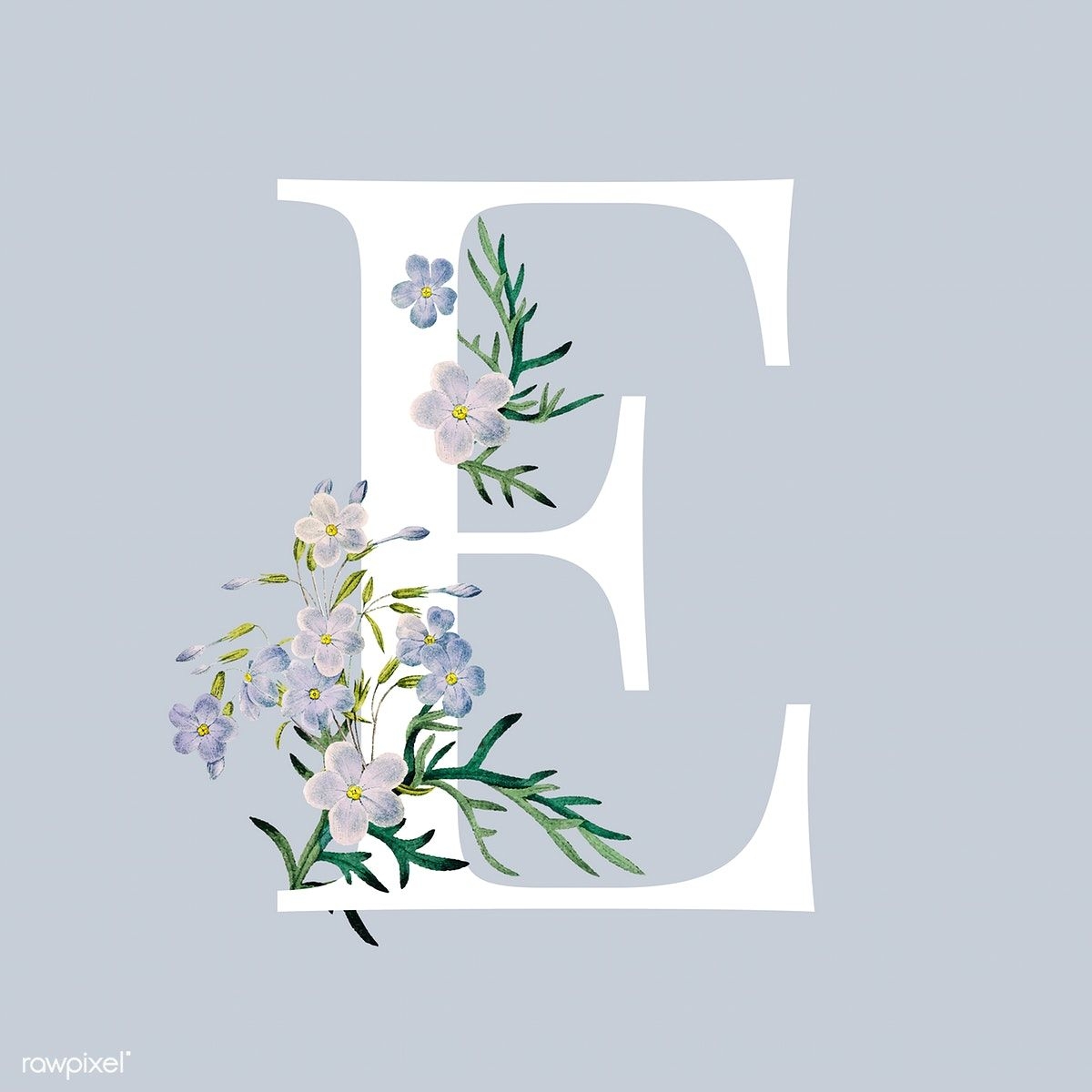 1200x1200 White letter E decorated with hand drawn blue phlox vector. free image by rawpixel.com / sasi. Vector free, Monogram wallpaper, Lettering alphabet fonts, Phone