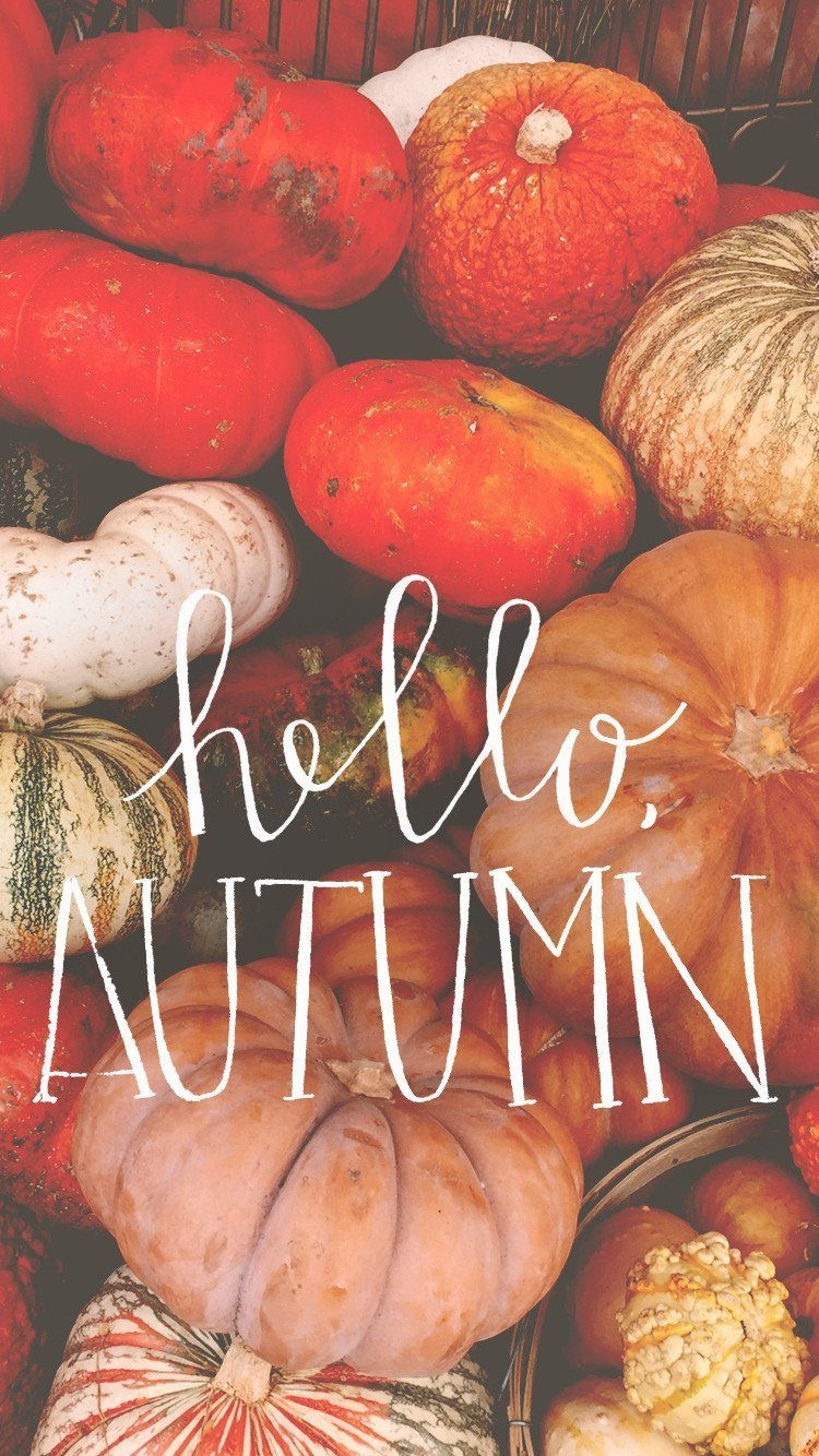 750x1340 HELLO, AUTUMN. Fall wallpaper, Hello autumn, Autumn inspiration, Phone