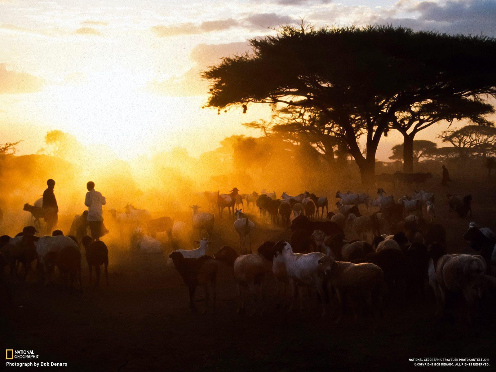 1600x1200 Maasai Village, Kenya, Desktop