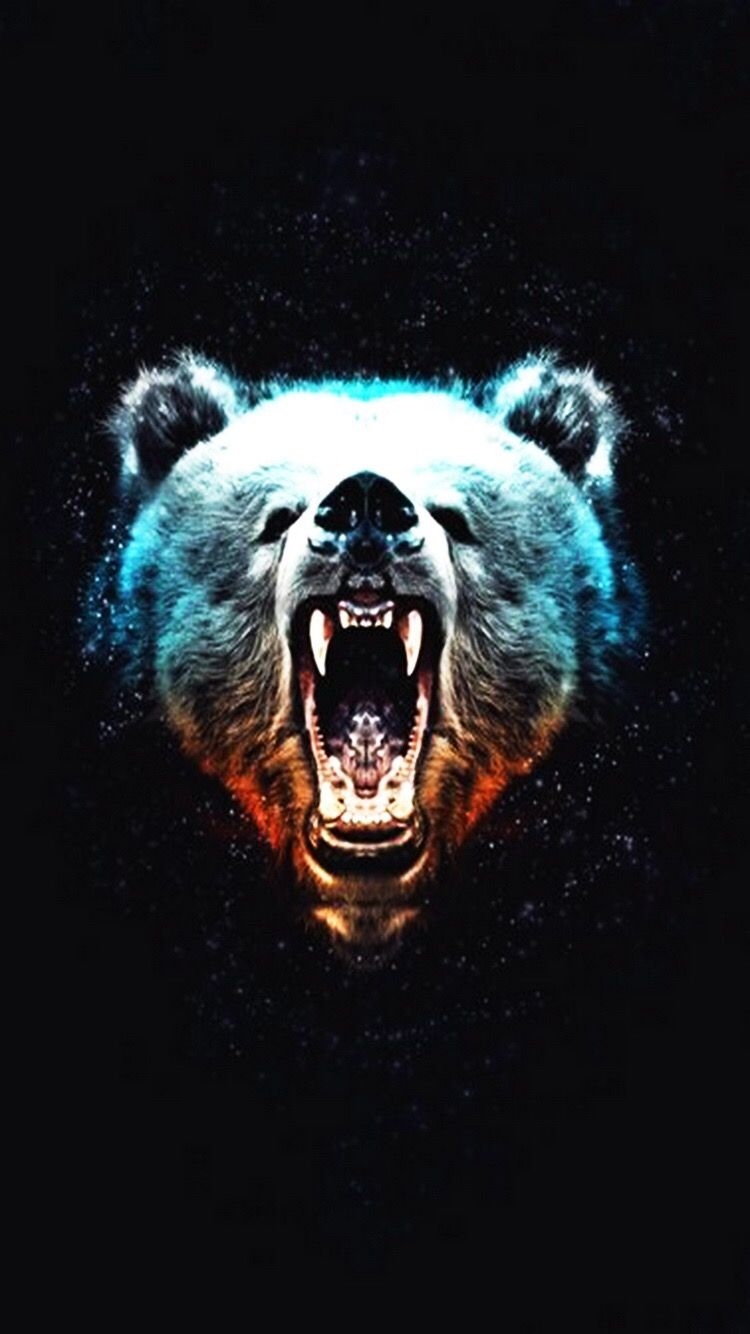 750x1340 iPhone wallpaper. Bear artwork, Bear art, Bear wallpaper, Phone