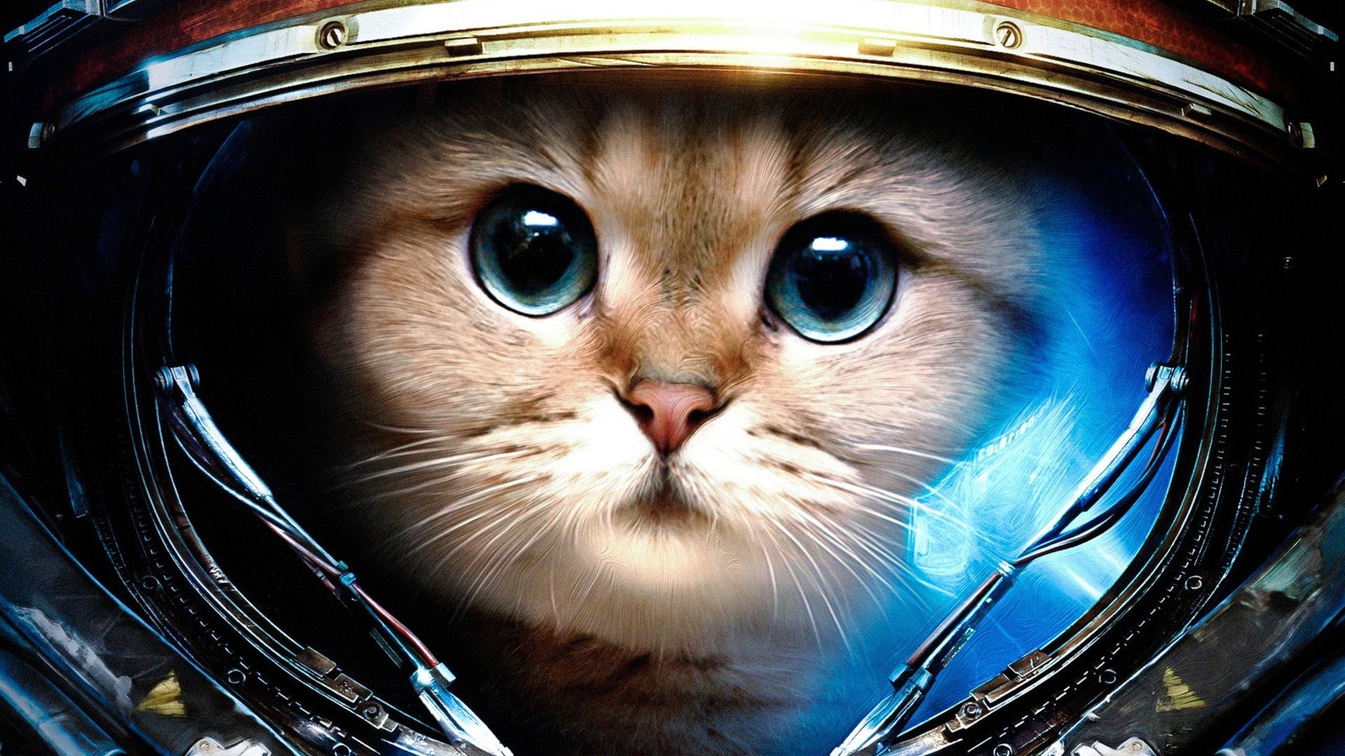 1920x1080 Space Cat Wallpaper, Desktop