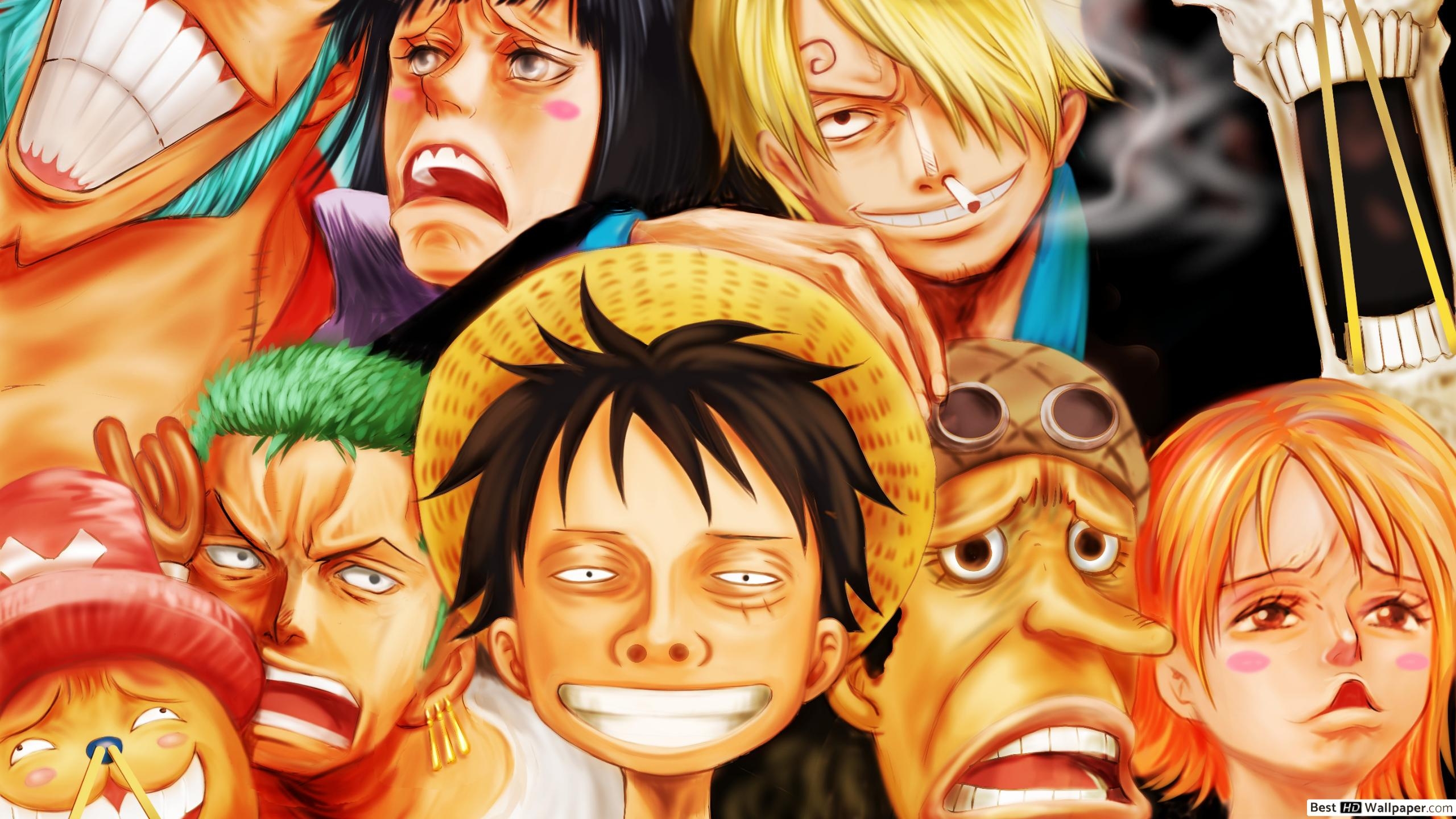 2560x1440 One Piece Pirates HD wallpaper download, Desktop