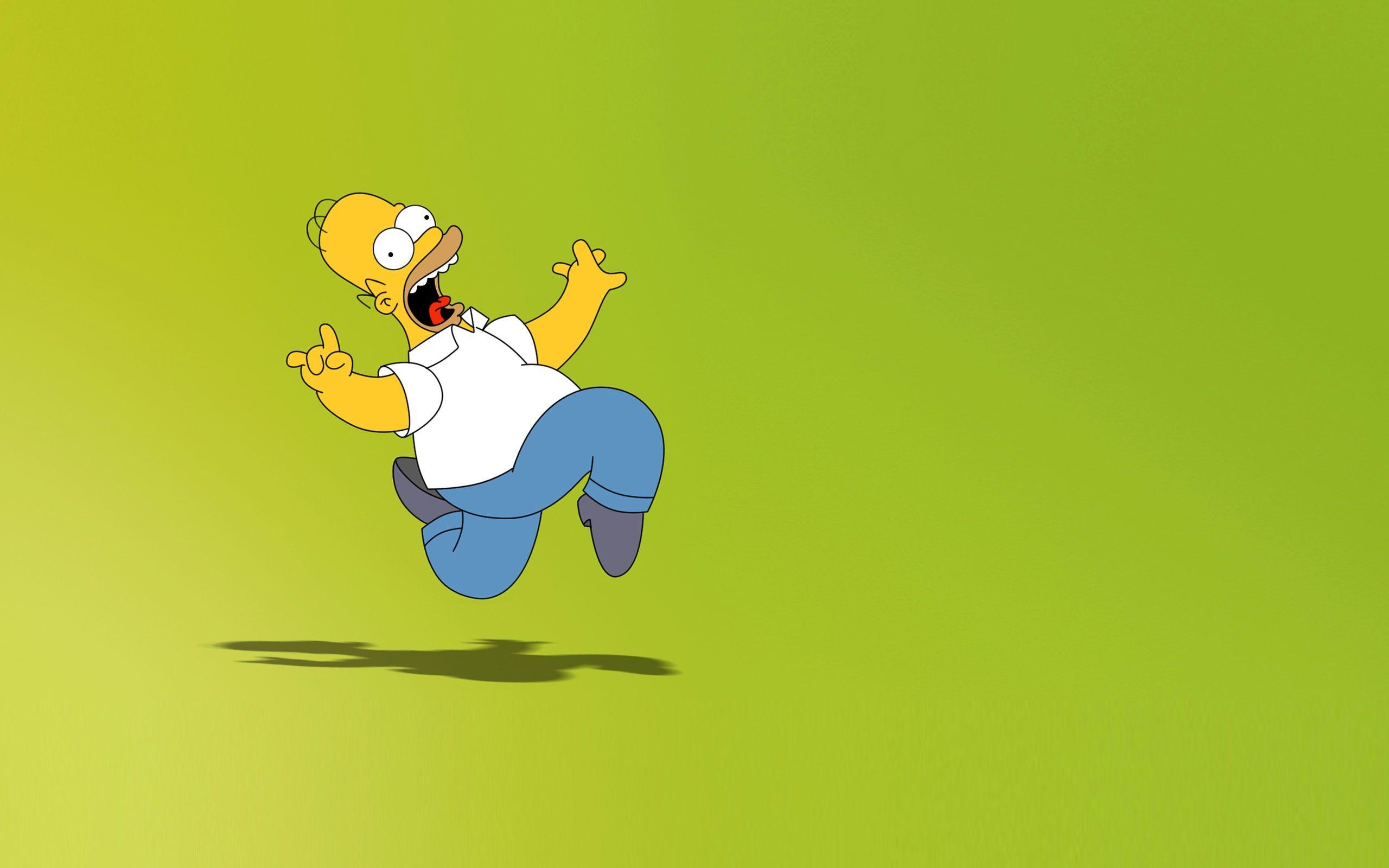 2560x1600 Homer Simpson HD Wallpaper and Background, Desktop