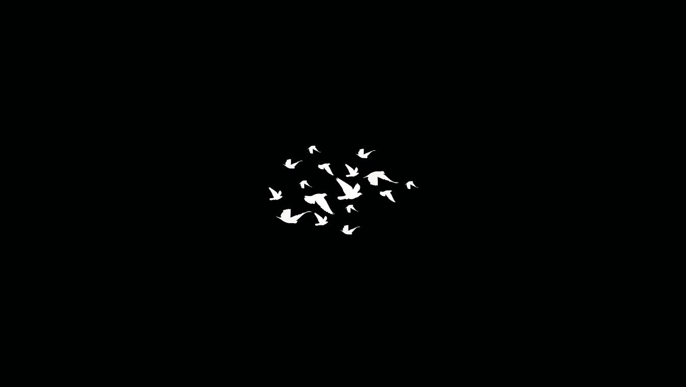 1360x770 Birds Flying Minimalist Dark 4k Laptop HD HD 4k Wallpaper, Image, Background, Photo and Picture, Desktop