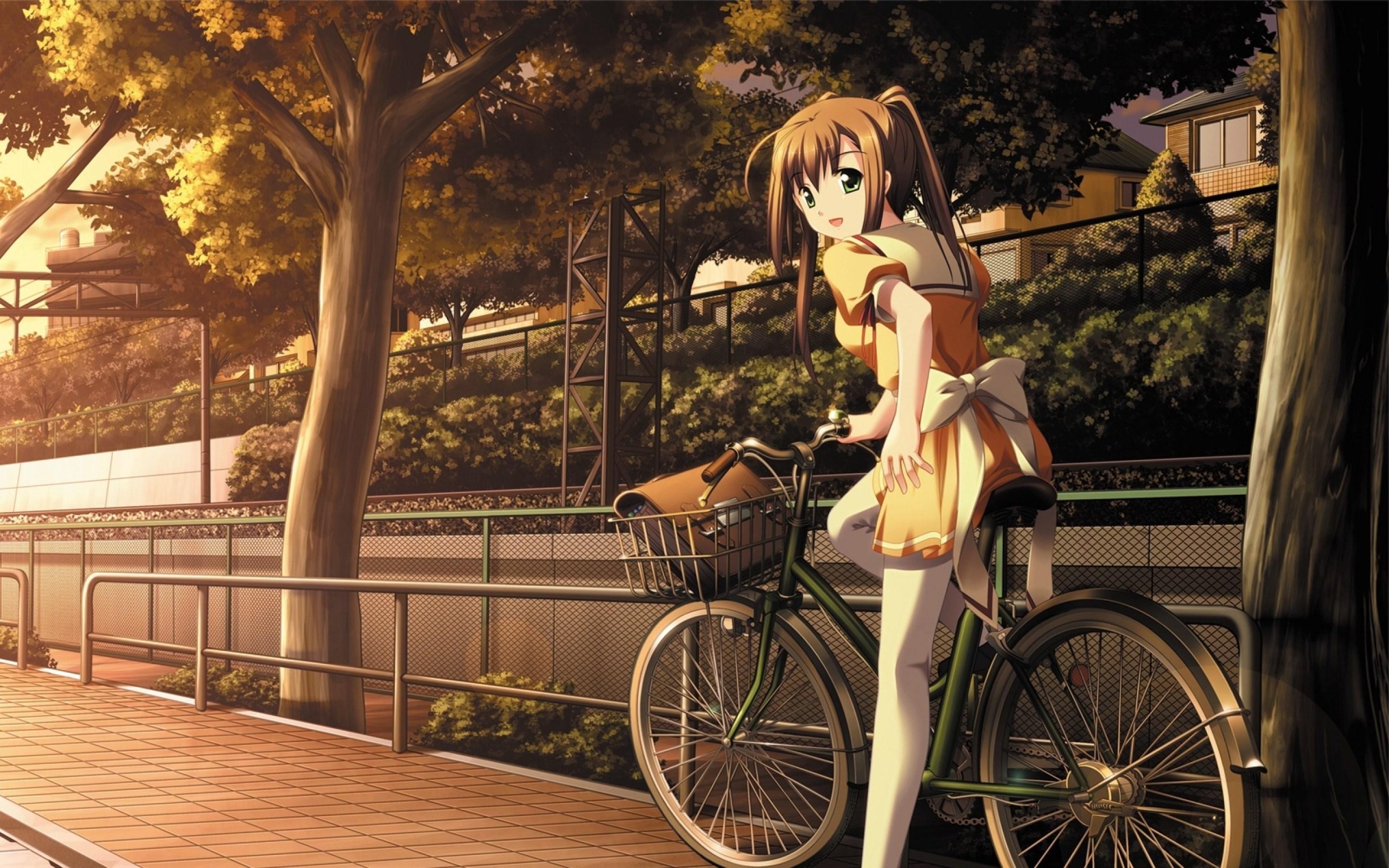 2560x1600 Beautiful Anime Girl School Uniform Bicycle, Desktop